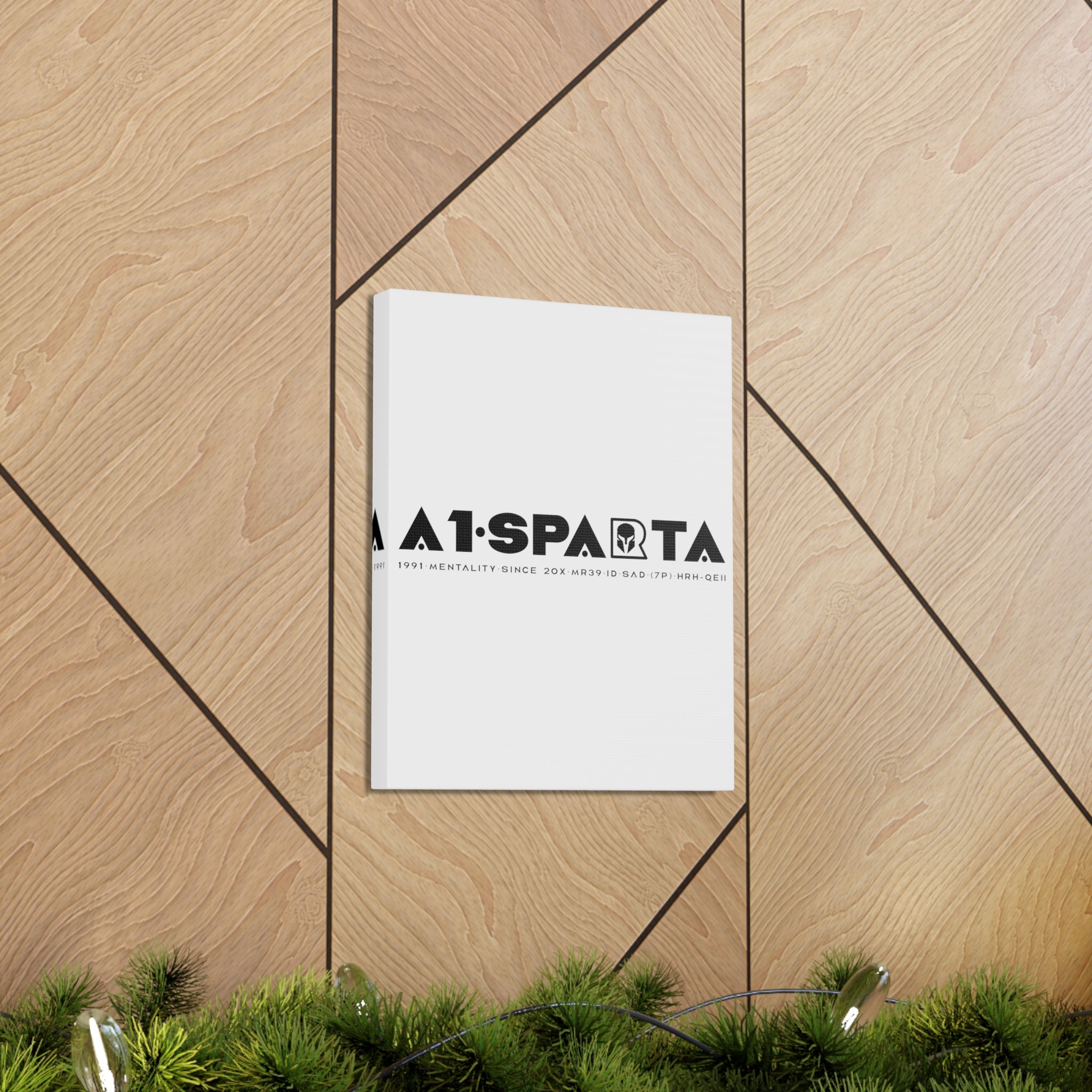 Canvas Gallery Wraps (A1•SPARTA RANGE)