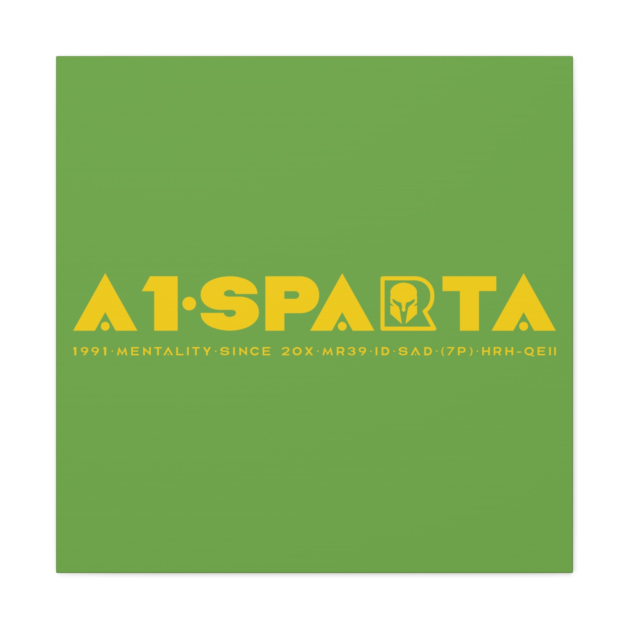 Canvas Gallery Wraps (A1•SPARTA RANGE)