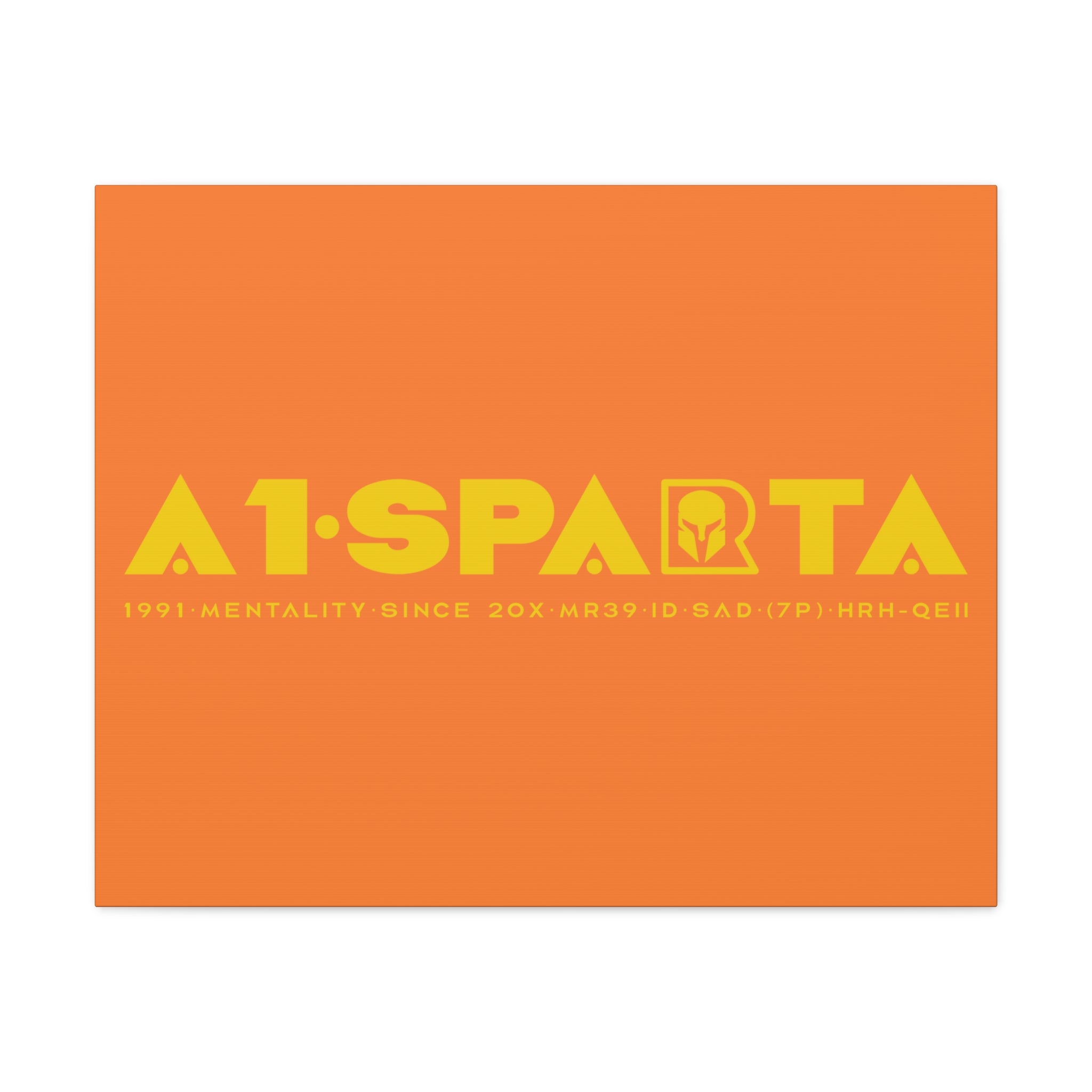 Canvas Gallery Wraps (A1•SPARTA RANGE)