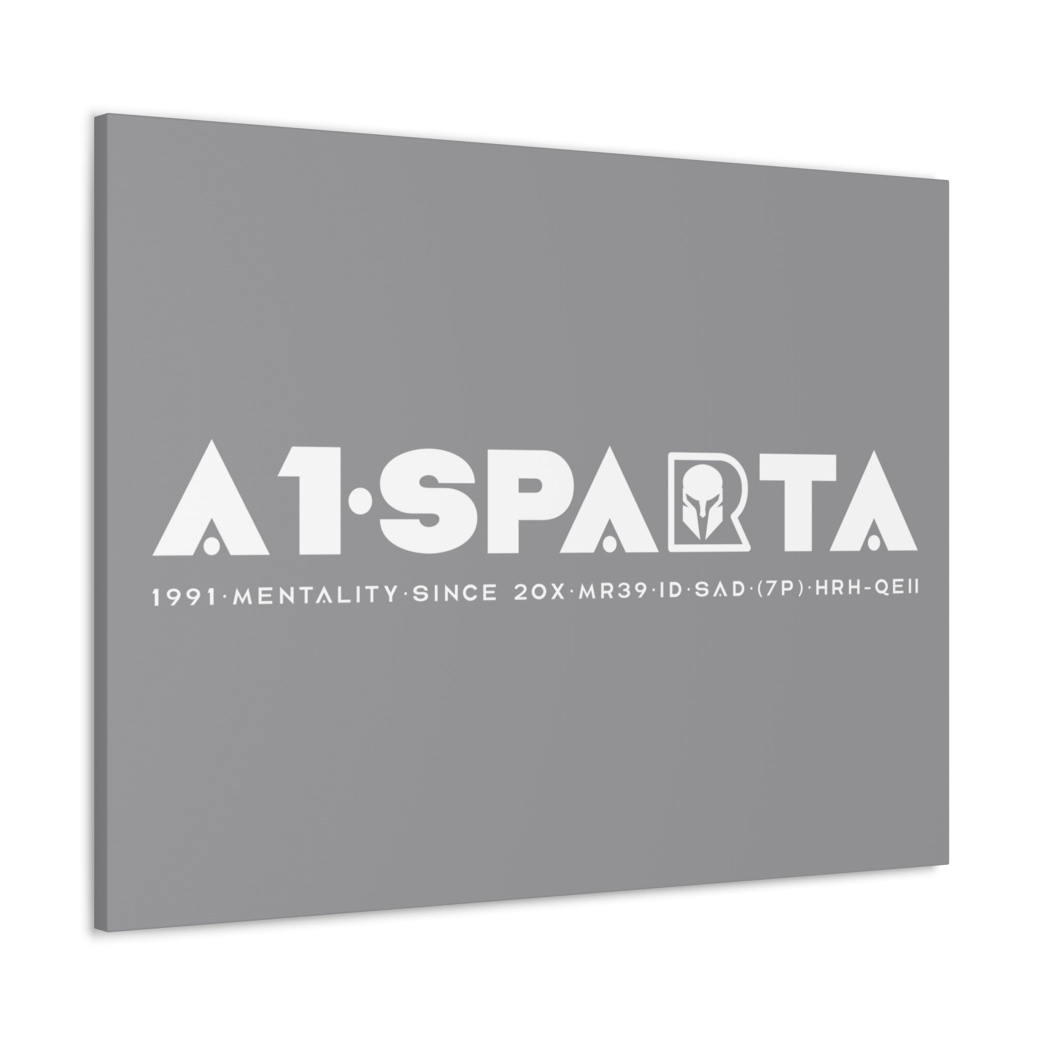 Canvas Gallery Wraps (A1•SPARTA RANGE)