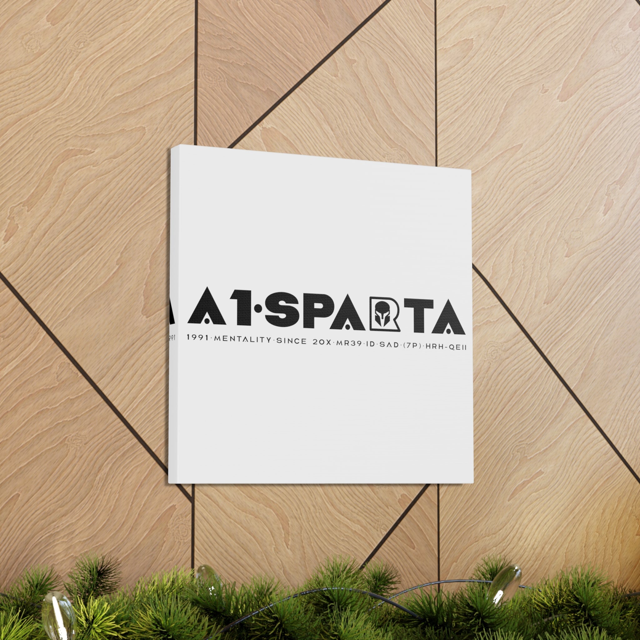 Canvas Gallery Wraps (A1•SPARTA RANGE)