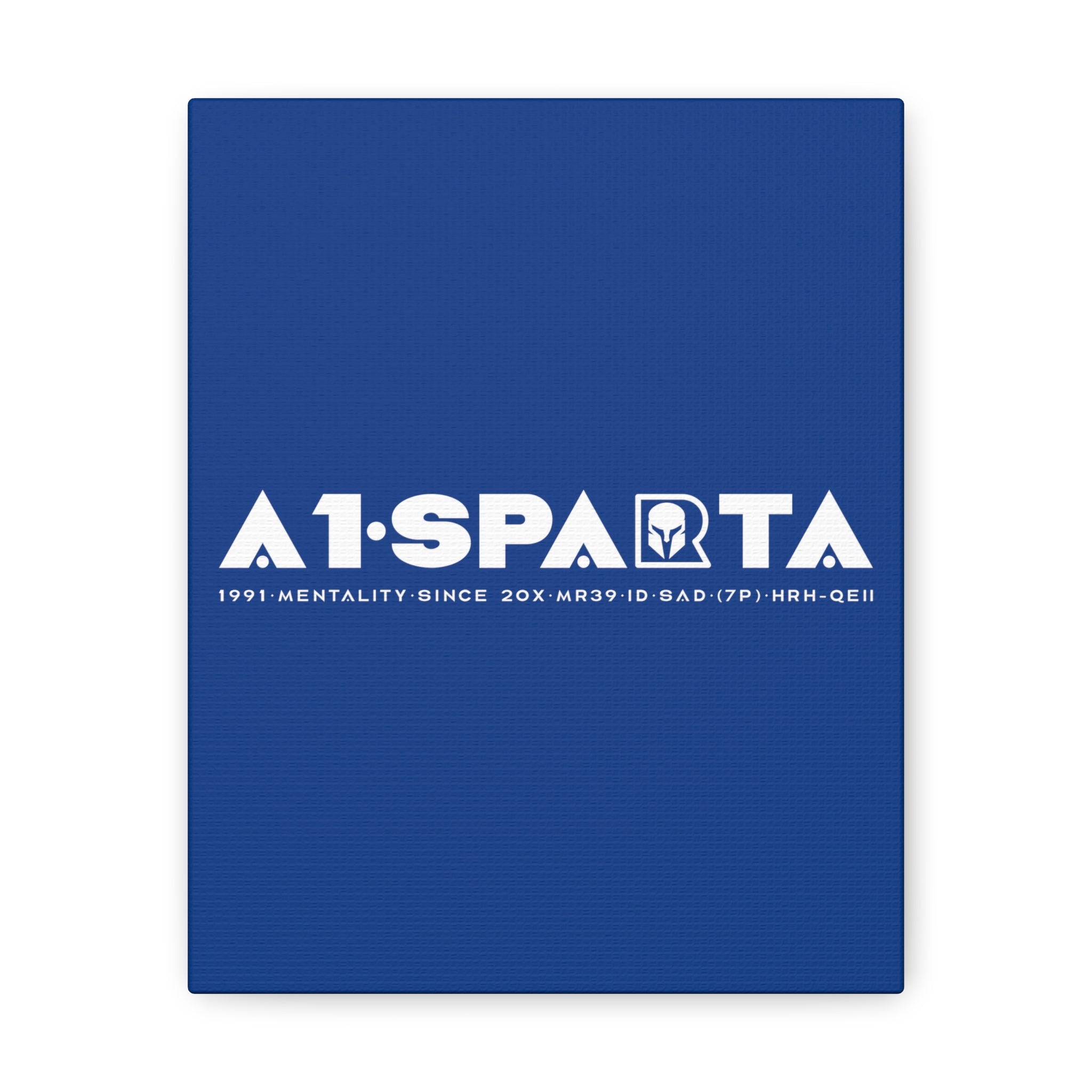 Canvas Gallery Wraps (A1•SPARTA RANGE)