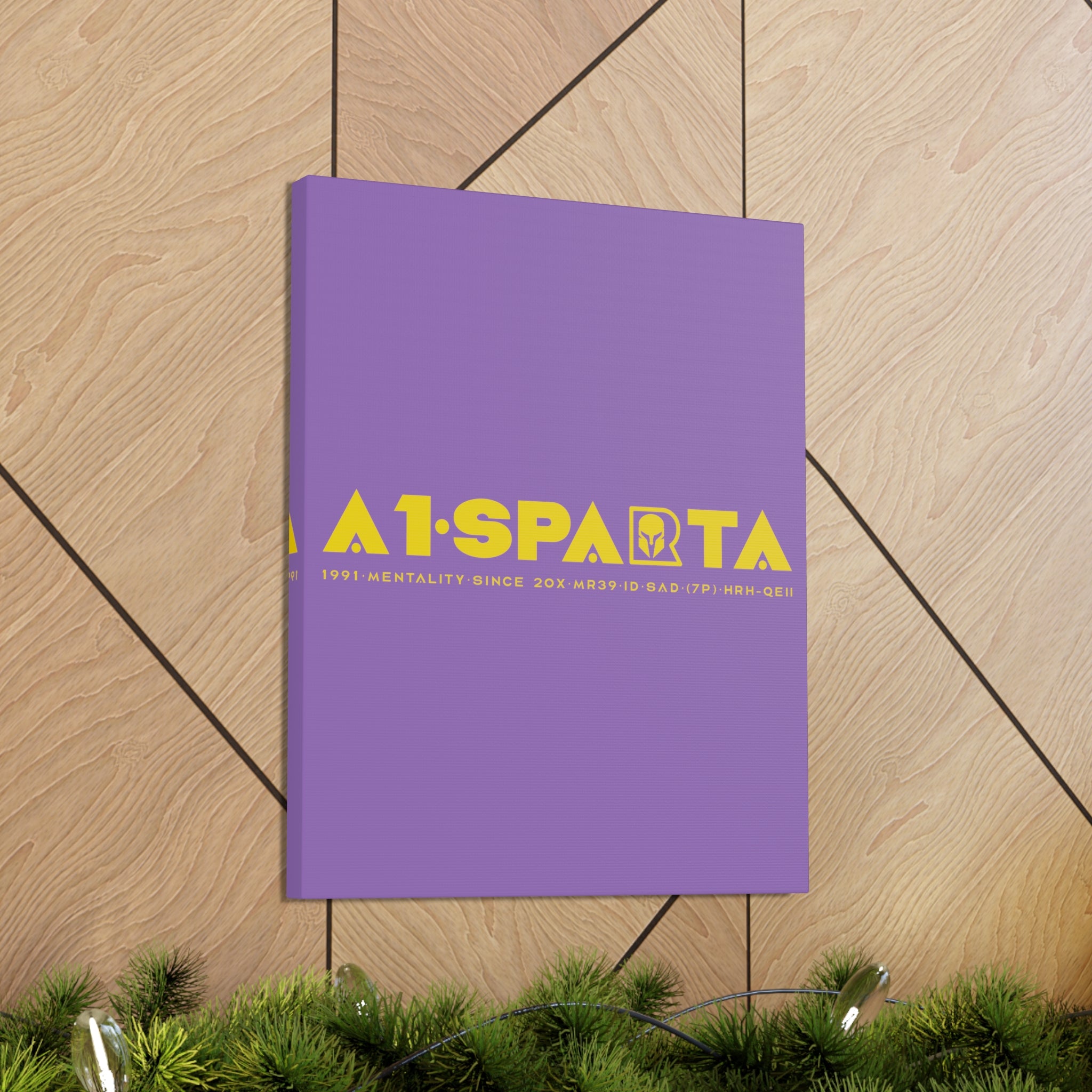 Canvas Gallery Wraps (A1•SPARTA RANGE)