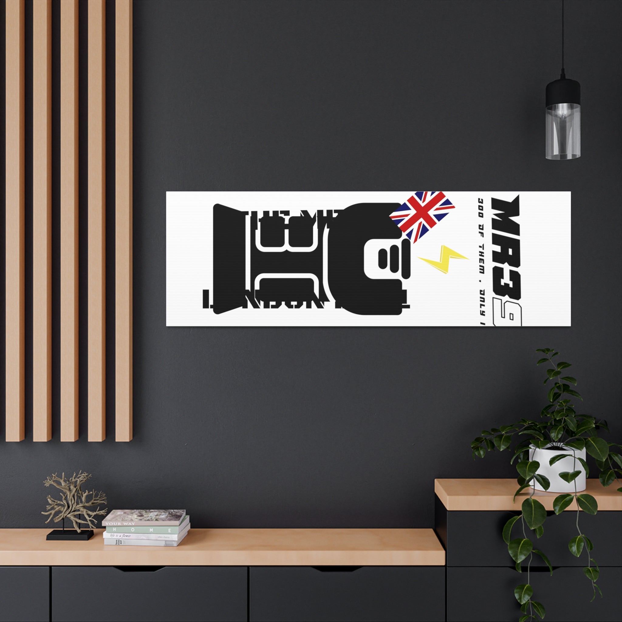 Copy of Canvas Gallery Wraps MR 39 Tasered by The MET 2021