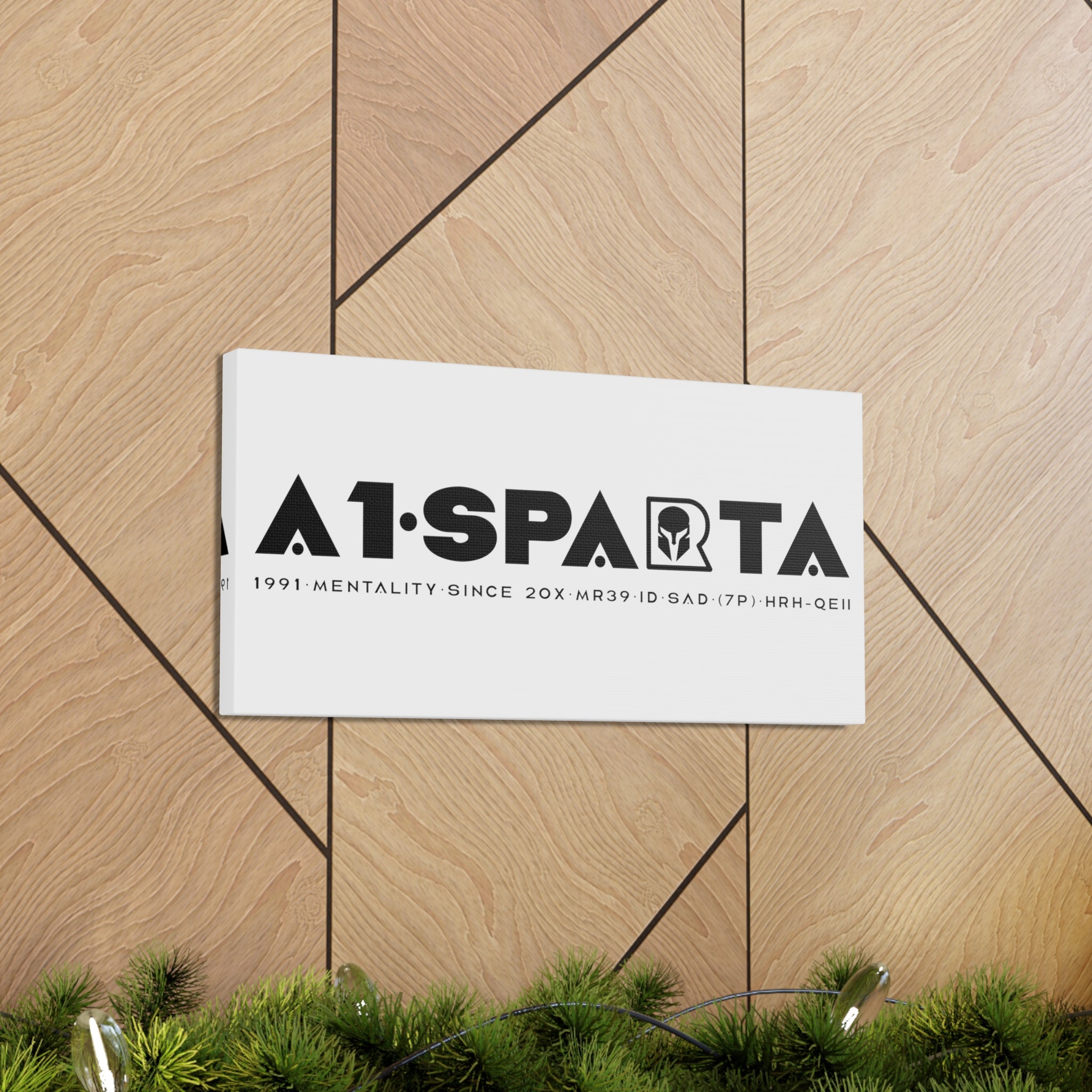 Canvas Gallery Wraps (A1•SPARTA RANGE)