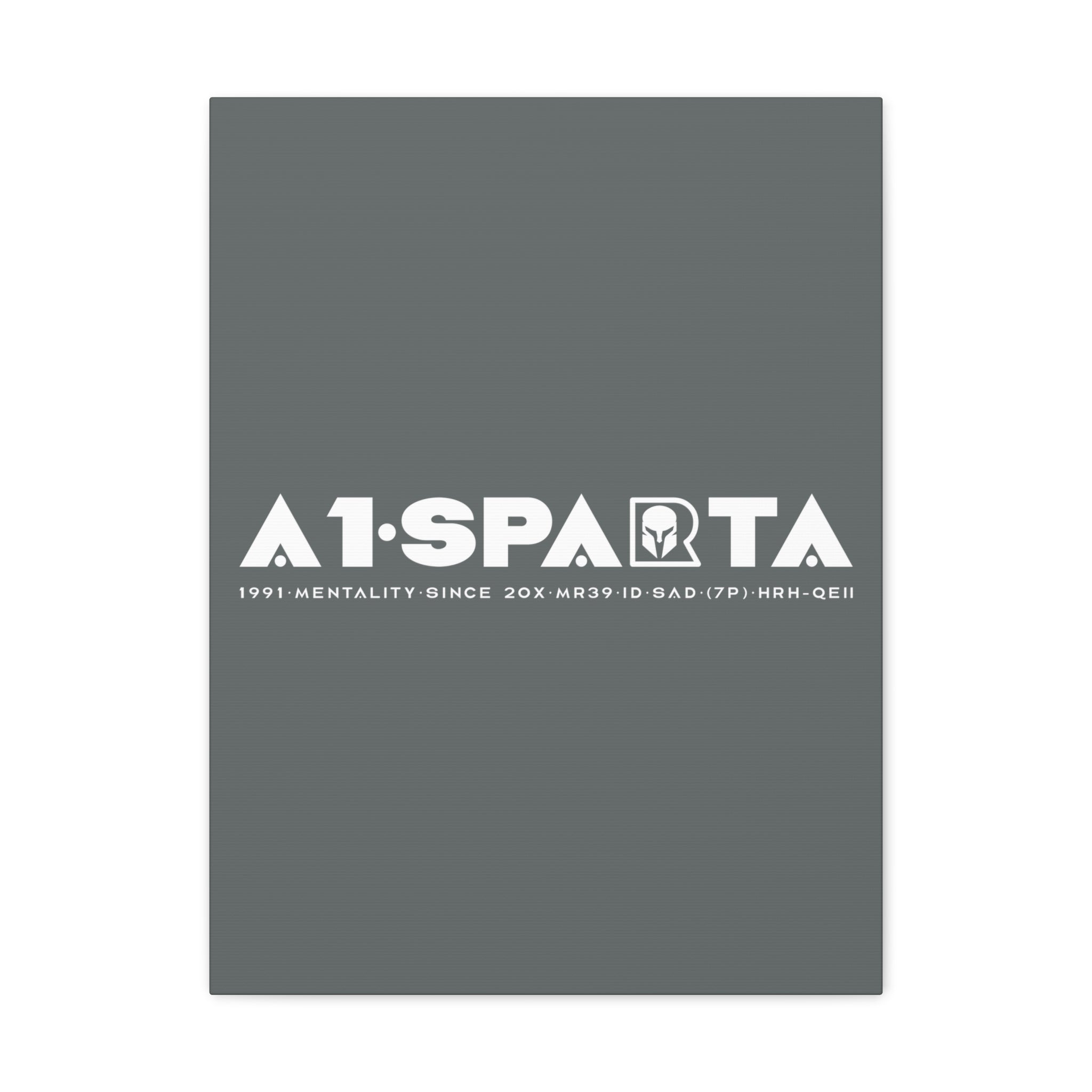 Canvas Gallery Wraps (A1•SPARTA RANGE)