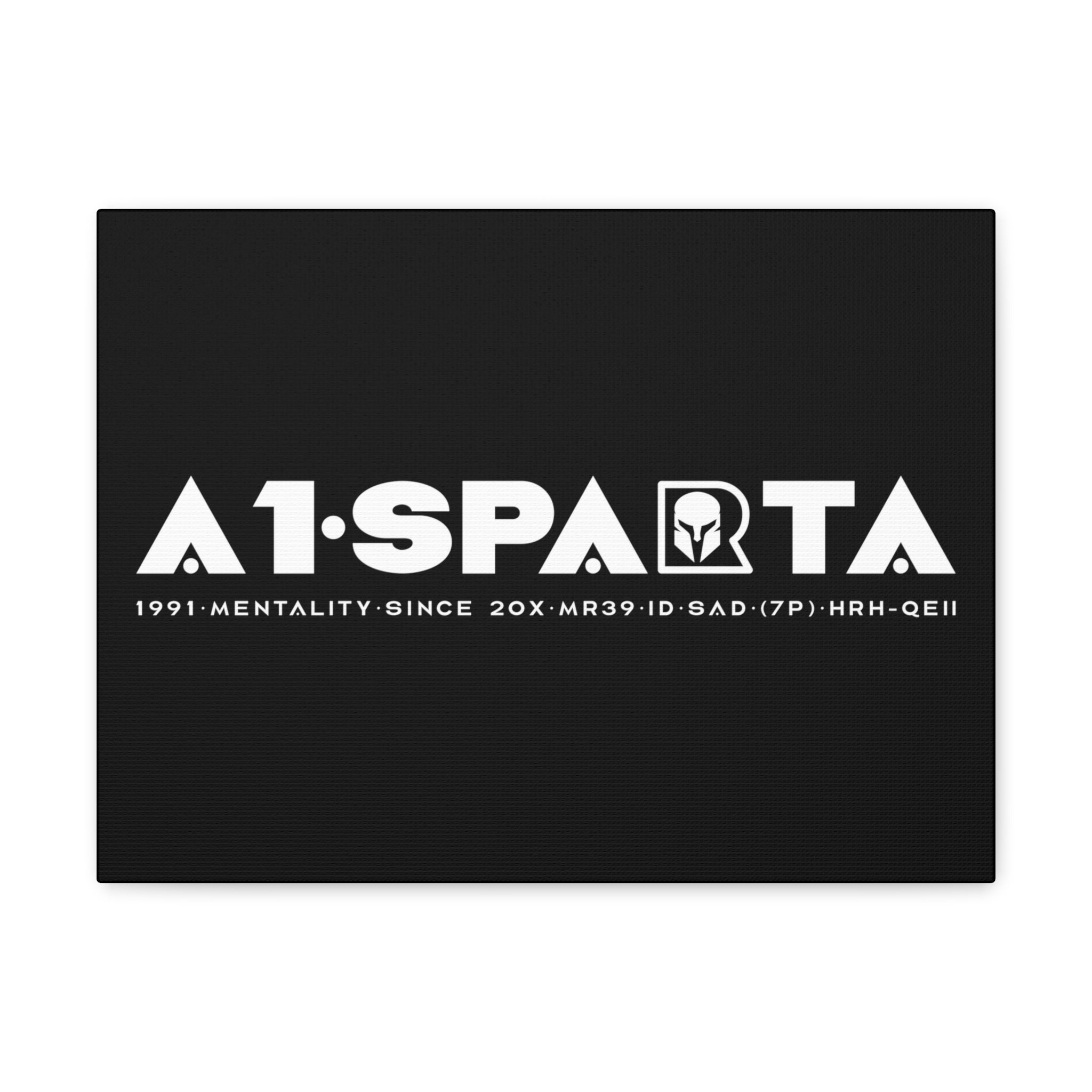 Canvas Gallery Wraps (A1•SPARTA RANGE)