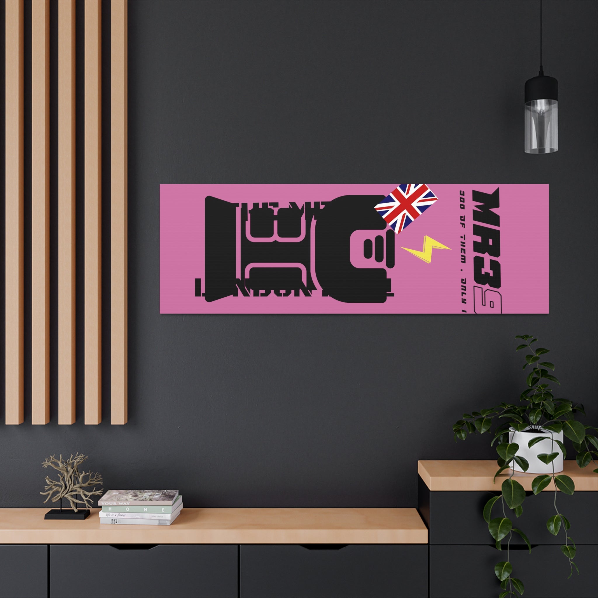 Canvas Gallery Wraps MR 39 Tasered by The MET 2021