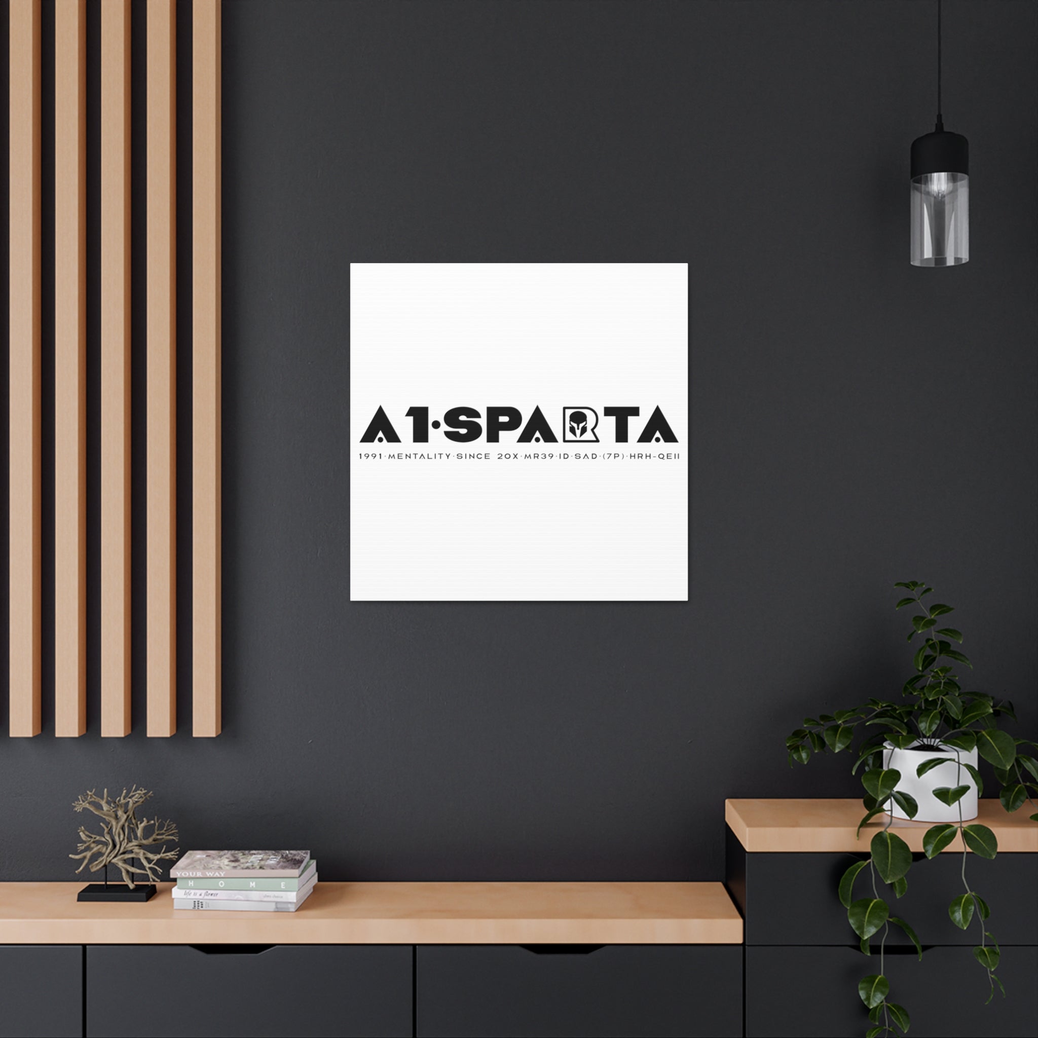 Canvas Gallery Wraps (A1•SPARTA RANGE)
