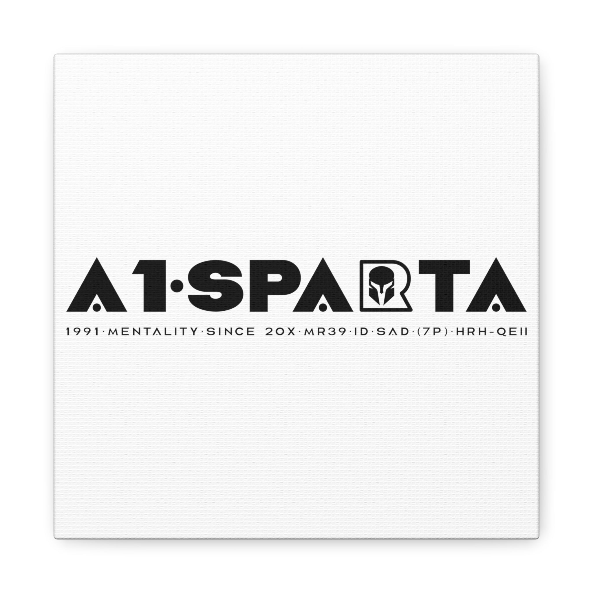 Canvas Gallery Wraps (A1•SPARTA RANGE)