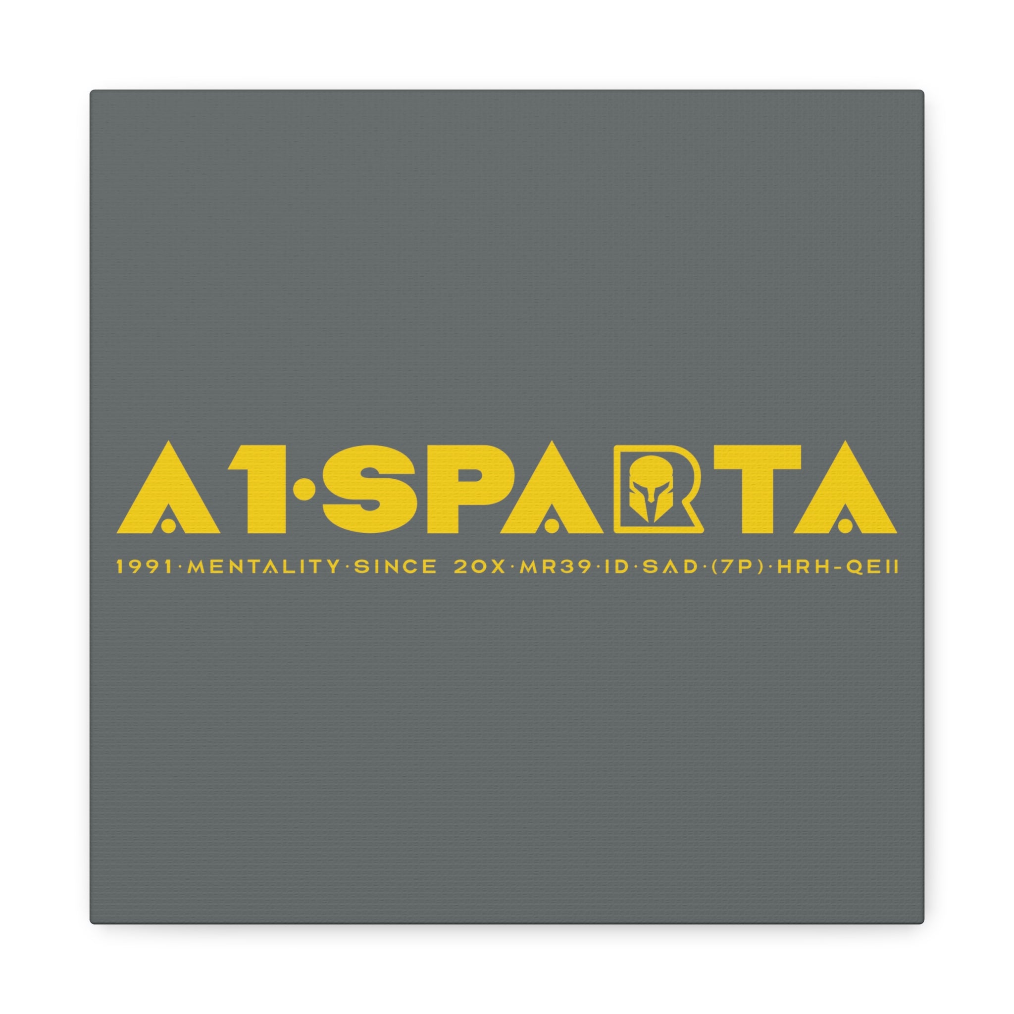 Canvas Gallery Wraps (A1•SPARTA RANGE)