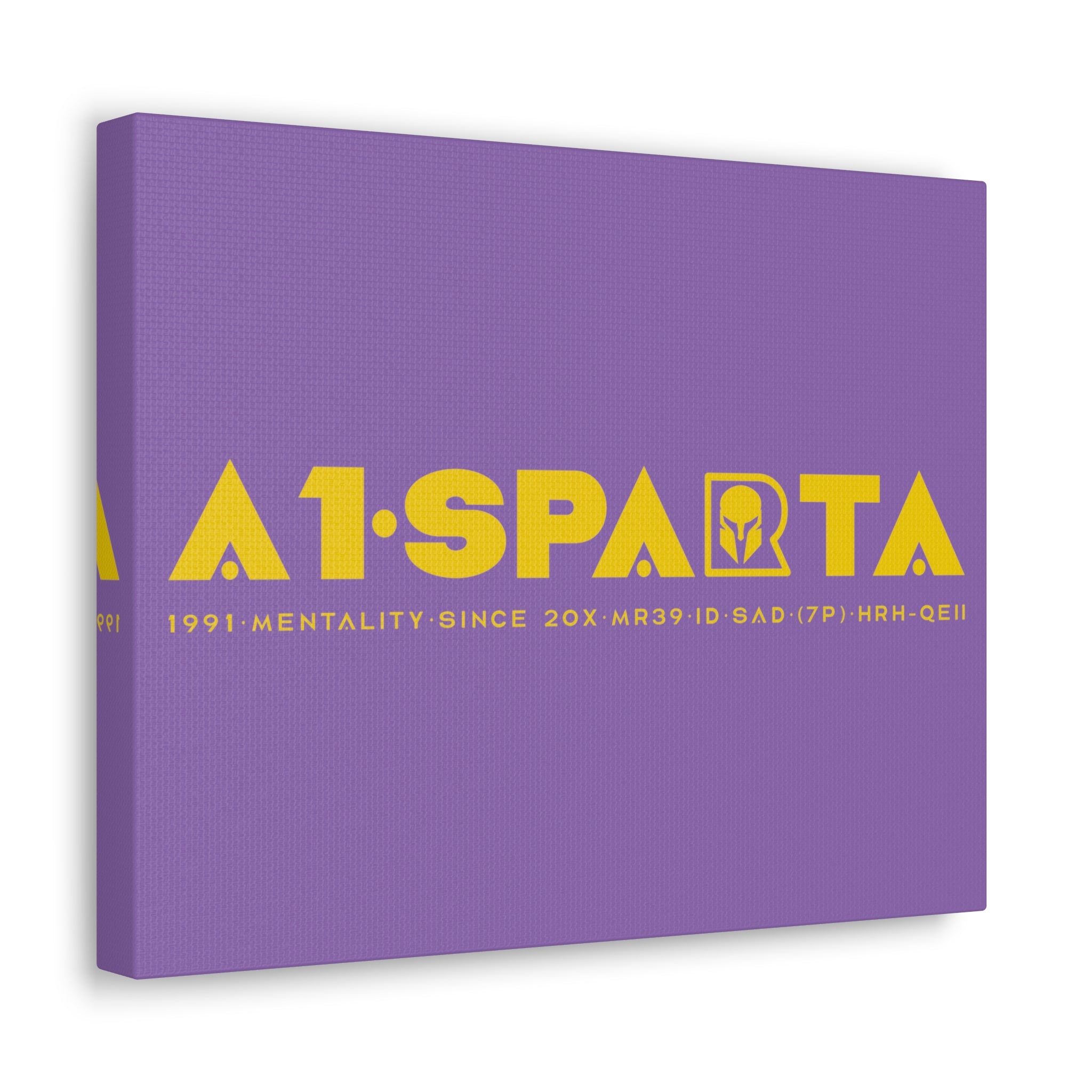 Canvas Gallery Wraps (A1•SPARTA RANGE)