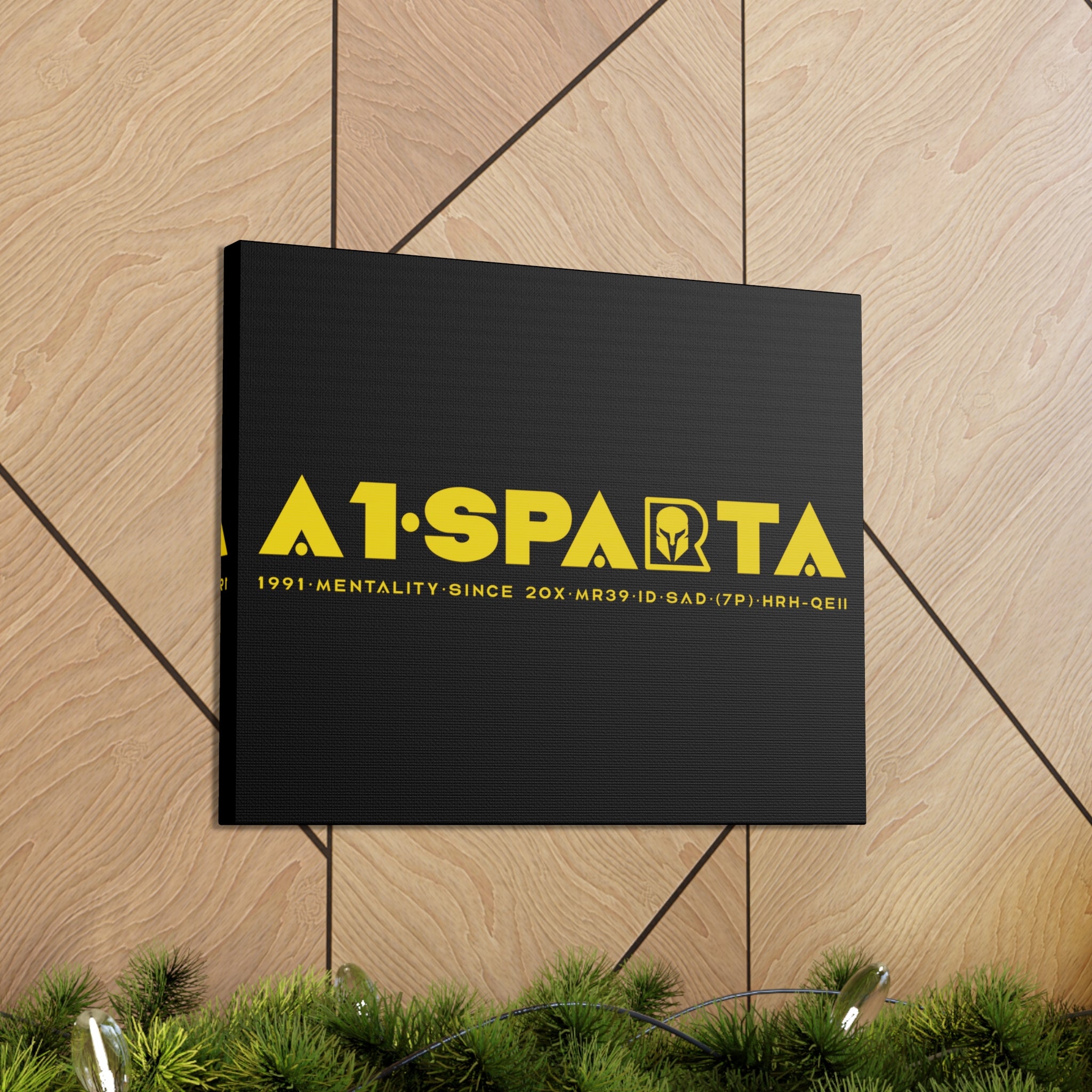 Canvas Gallery Wraps (A1•SPARTA RANGE)