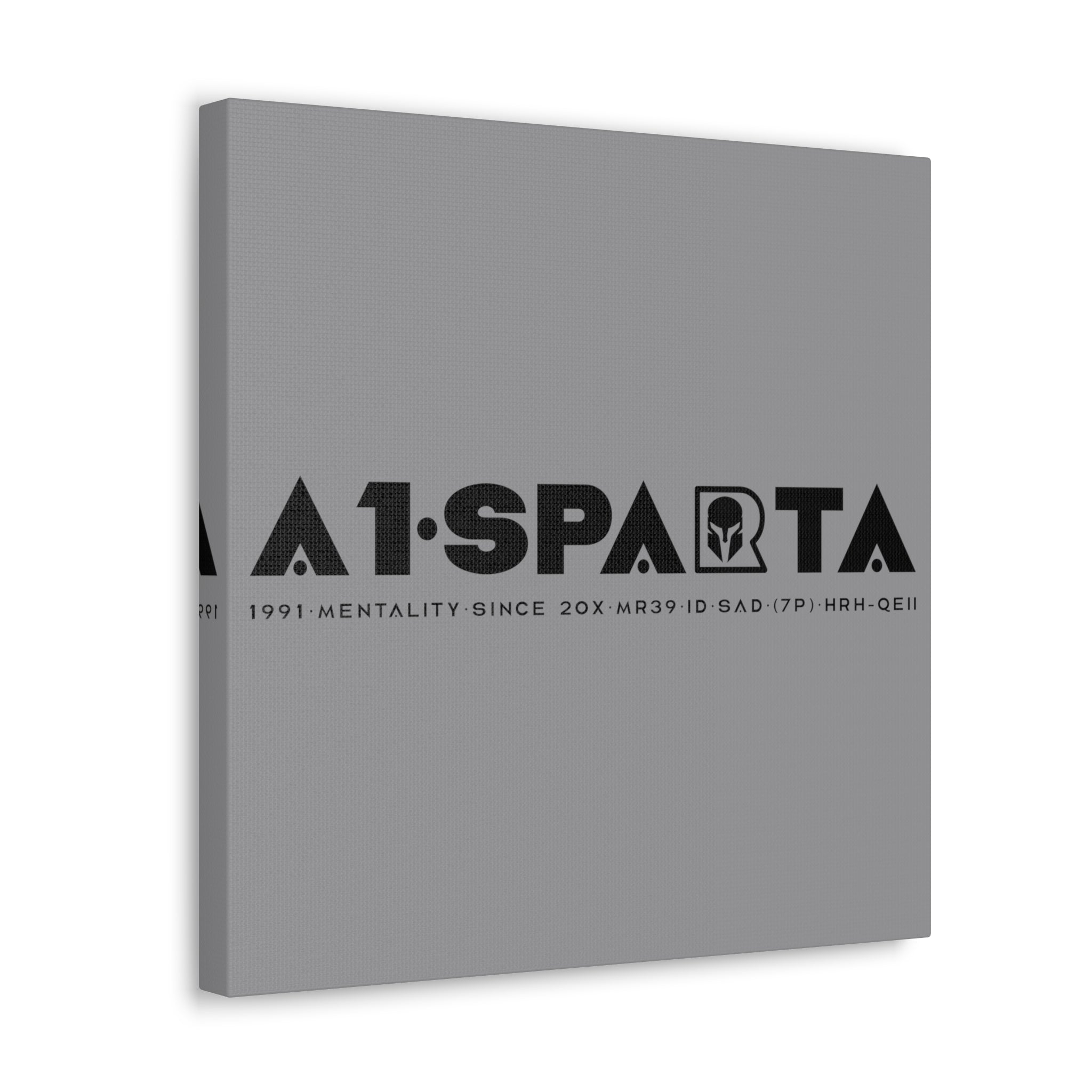 Canvas Gallery Wraps (A1•SPARTA RANGE)