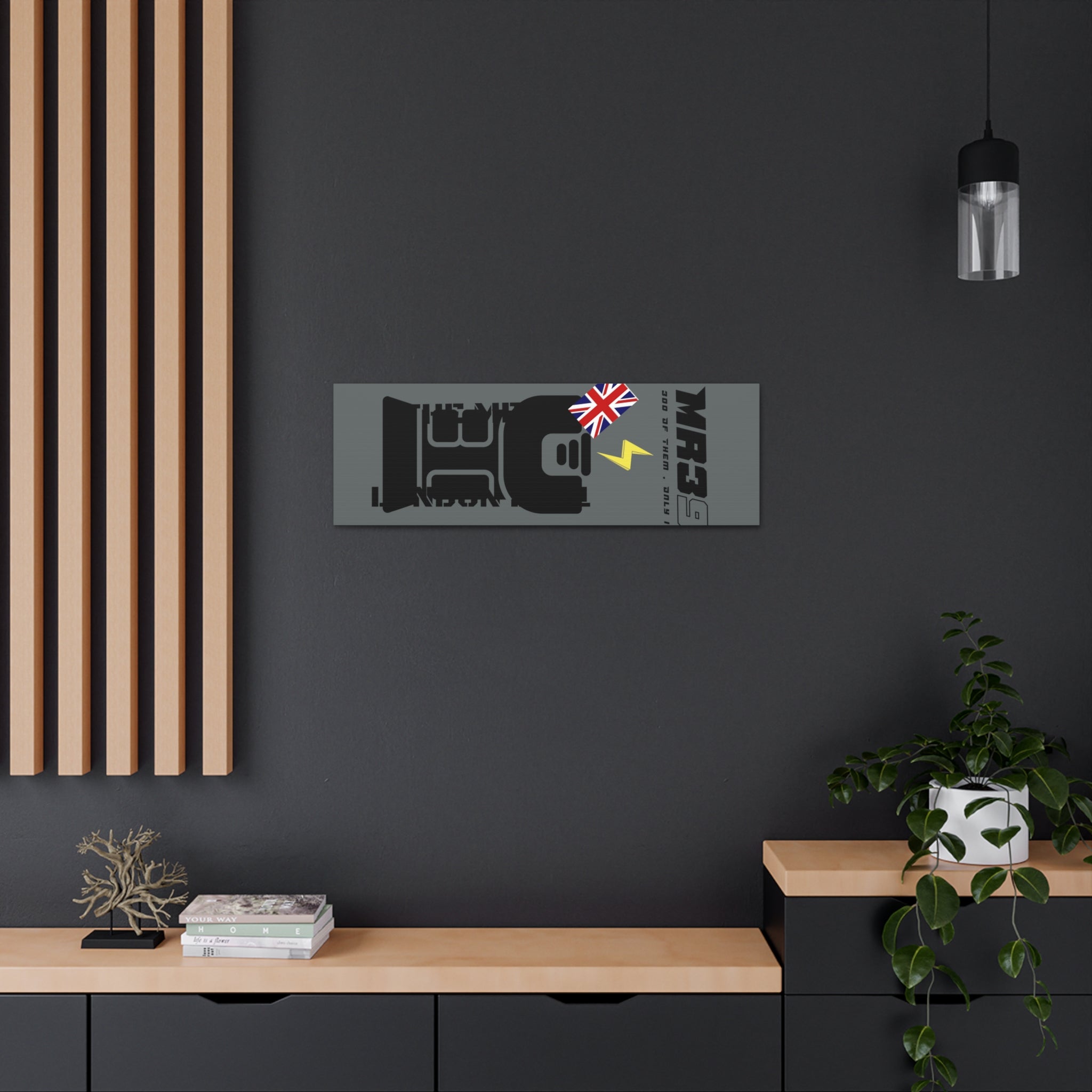 Canvas Gallery Wraps MR 39 Tasered by The MET 2021