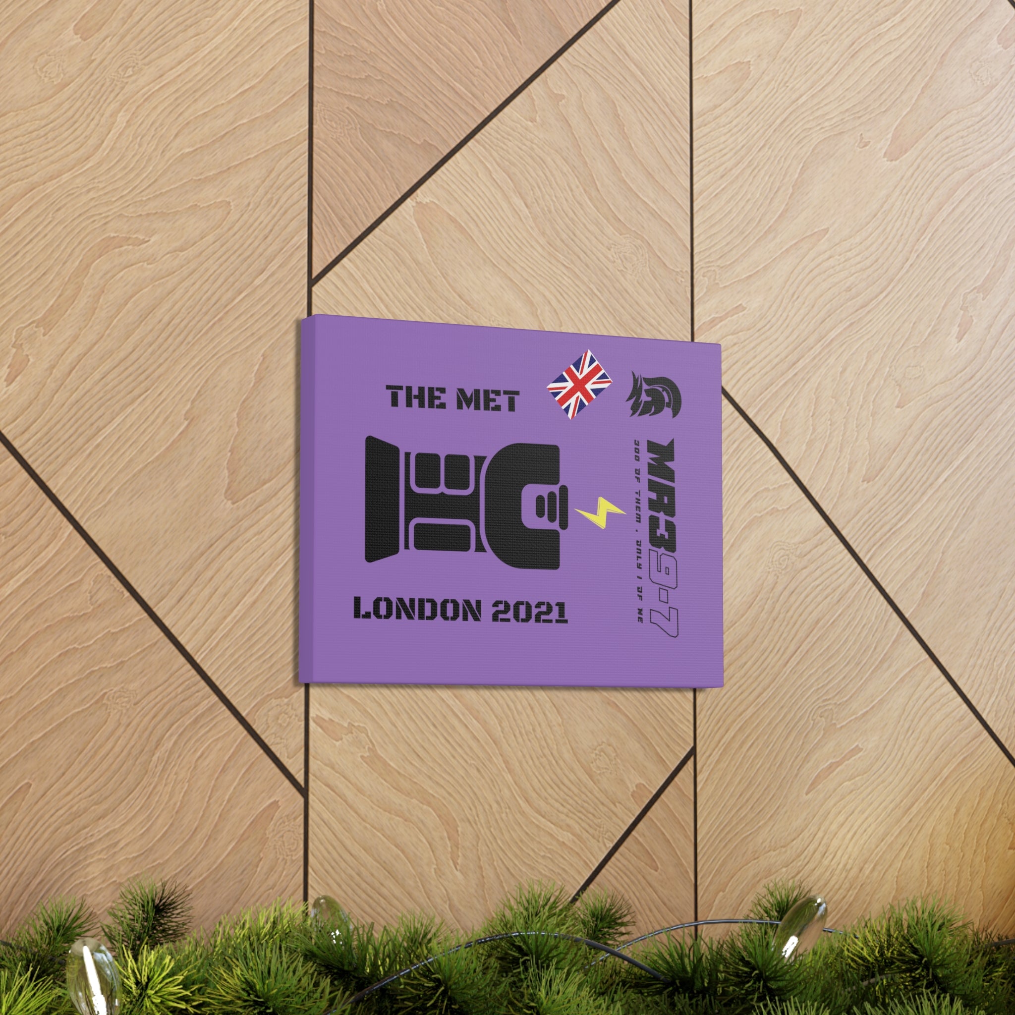 Copy of Canvas Gallery Wraps MR 39 Tasered by The MET 2021