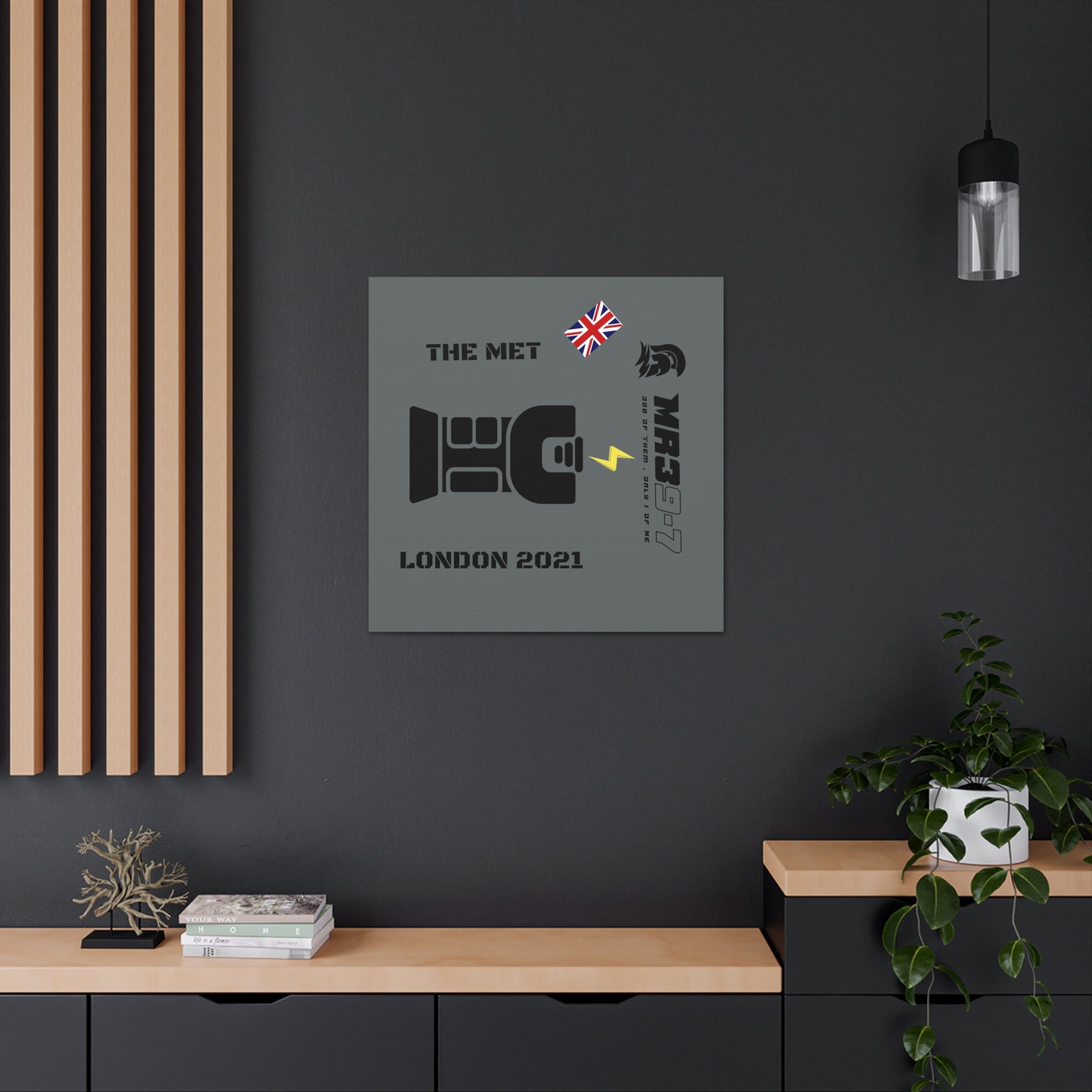 Canvas Gallery Wraps MR 39 Tasered by The MET 2021