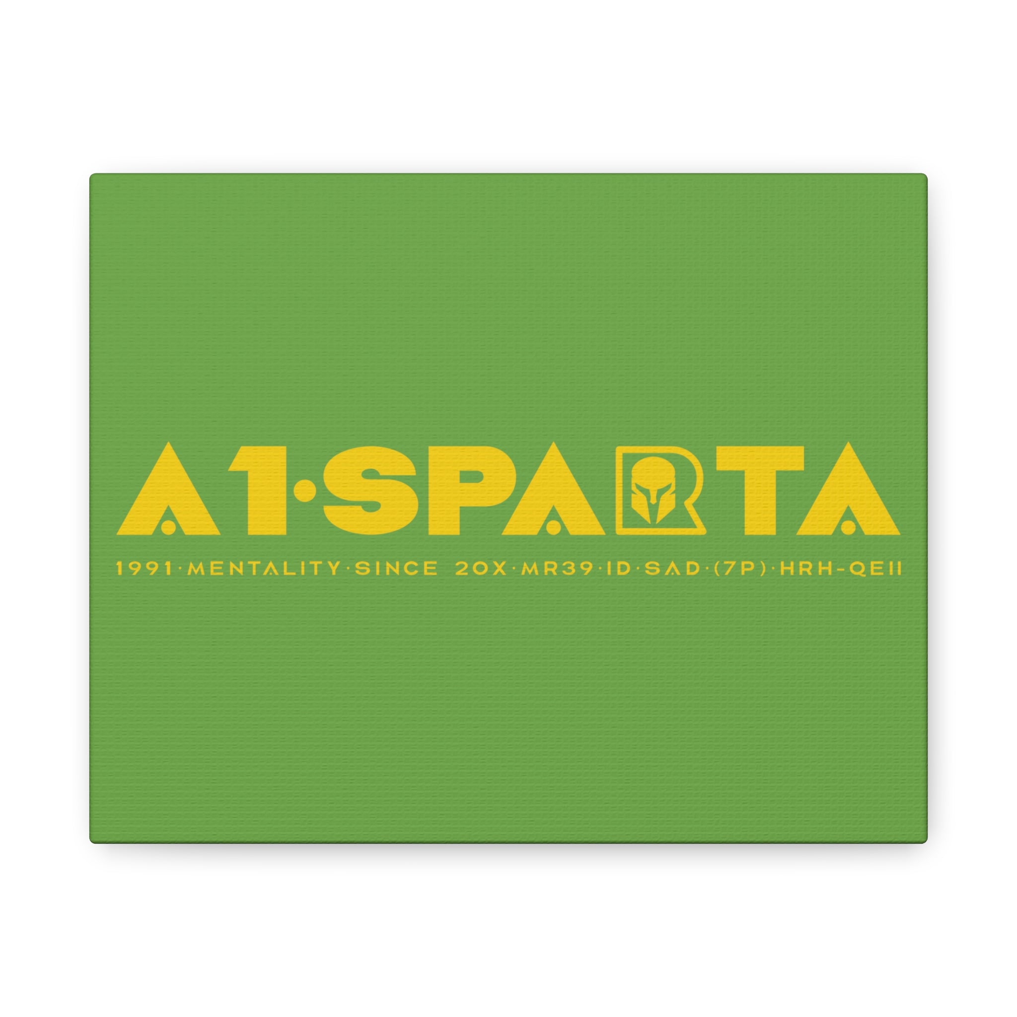 Canvas Gallery Wraps (A1•SPARTA RANGE)