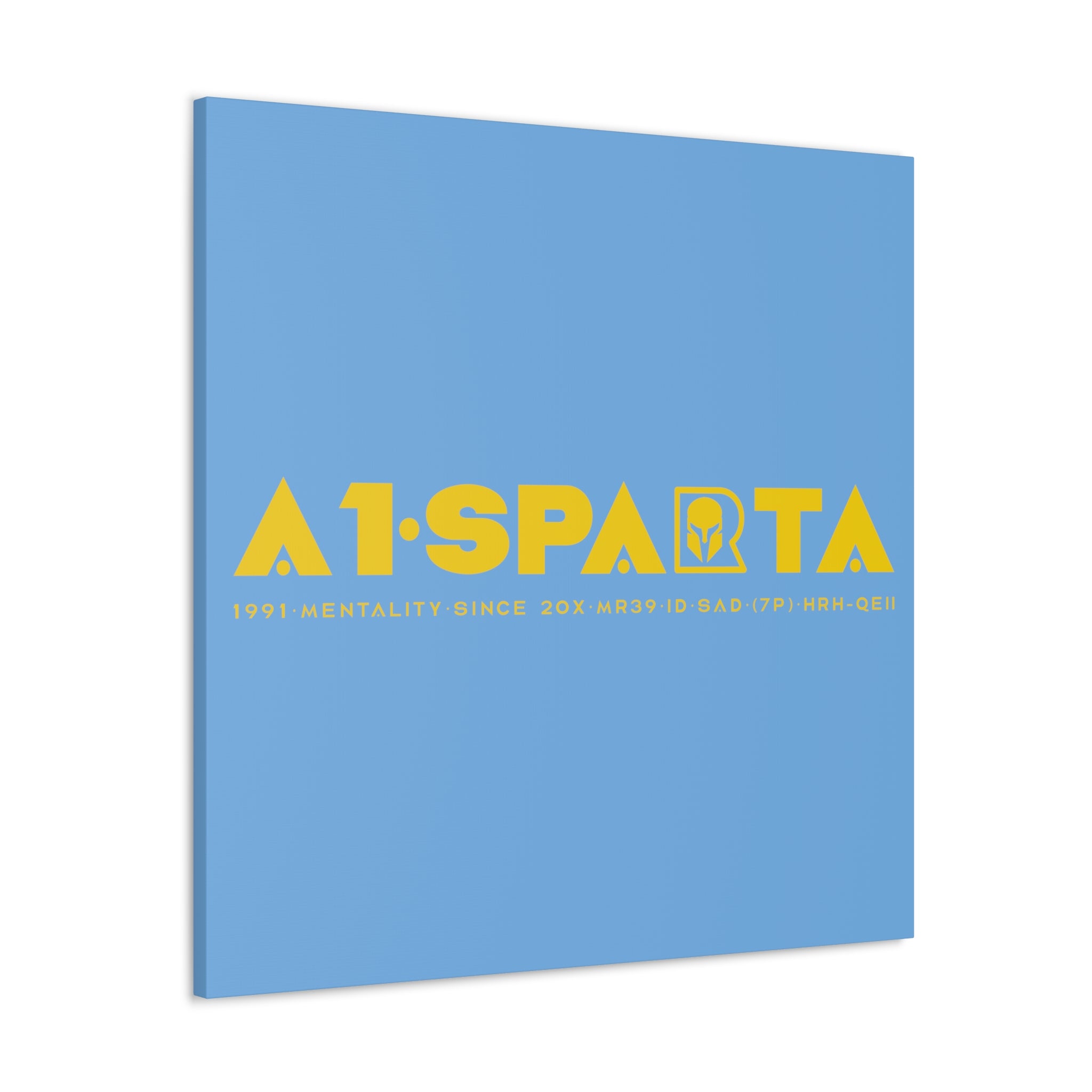 Canvas Gallery Wraps (A1•SPARTA RANGE)