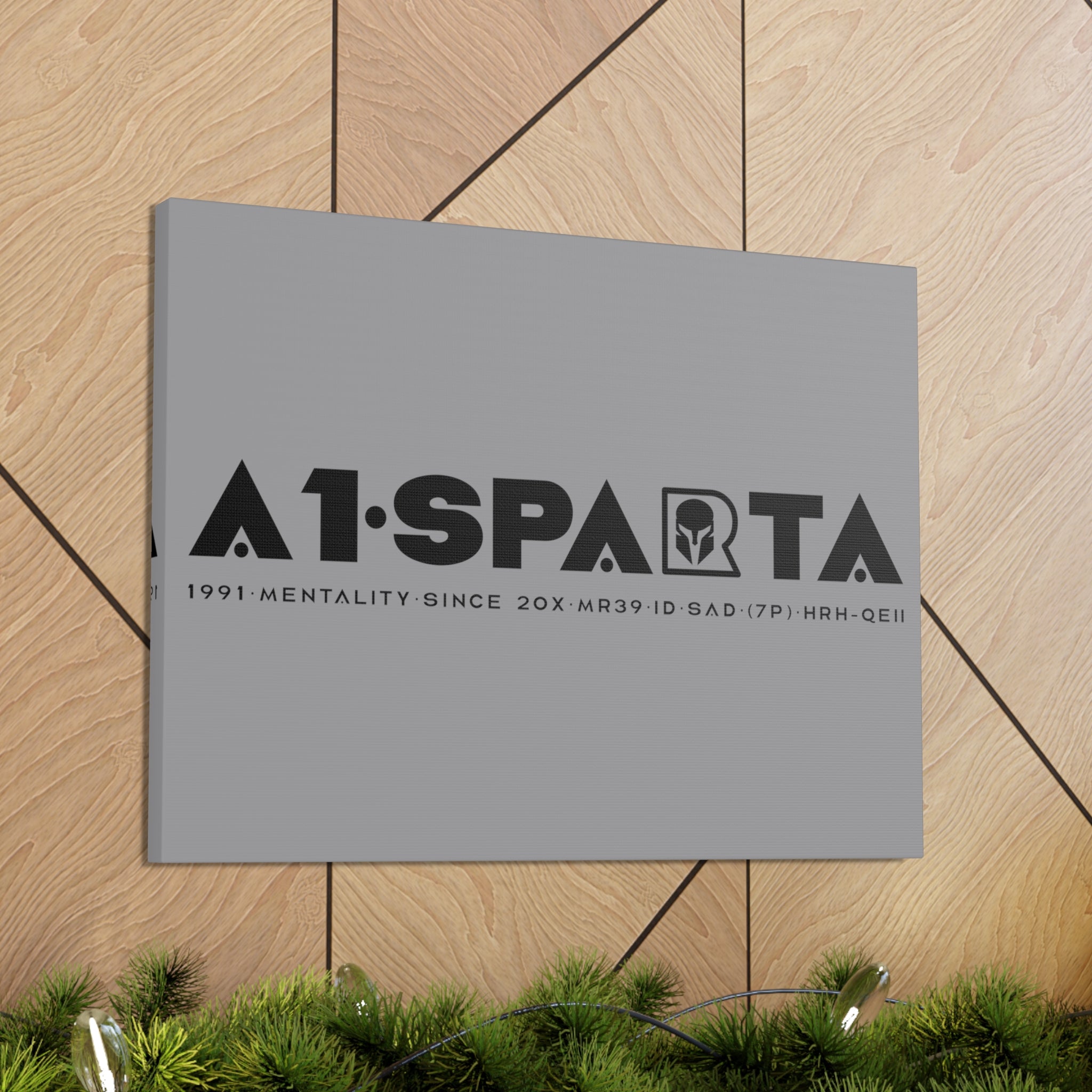 Canvas Gallery Wraps (A1•SPARTA RANGE)