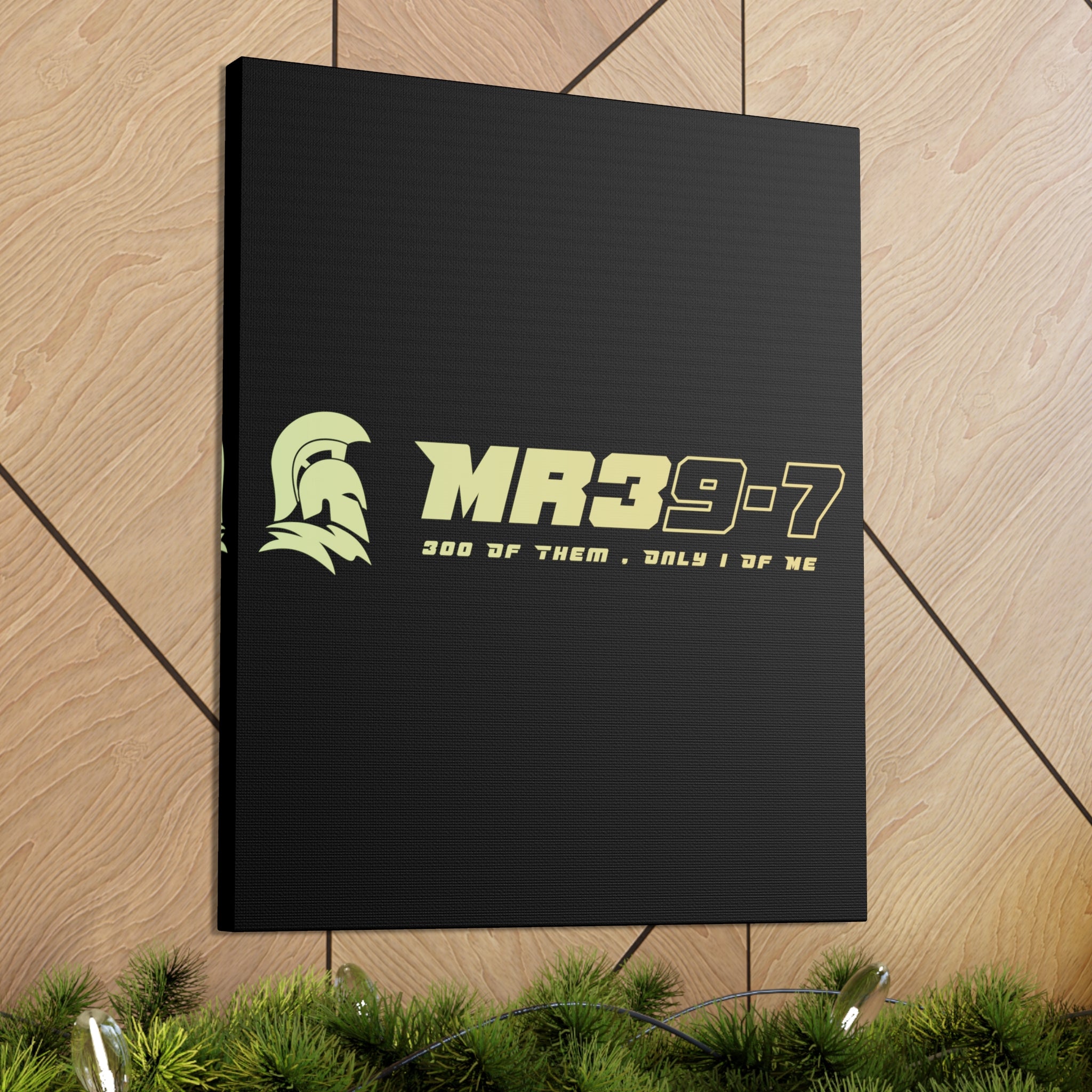 Canvas Gallery Wraps (A1•SPARTA RANGE)