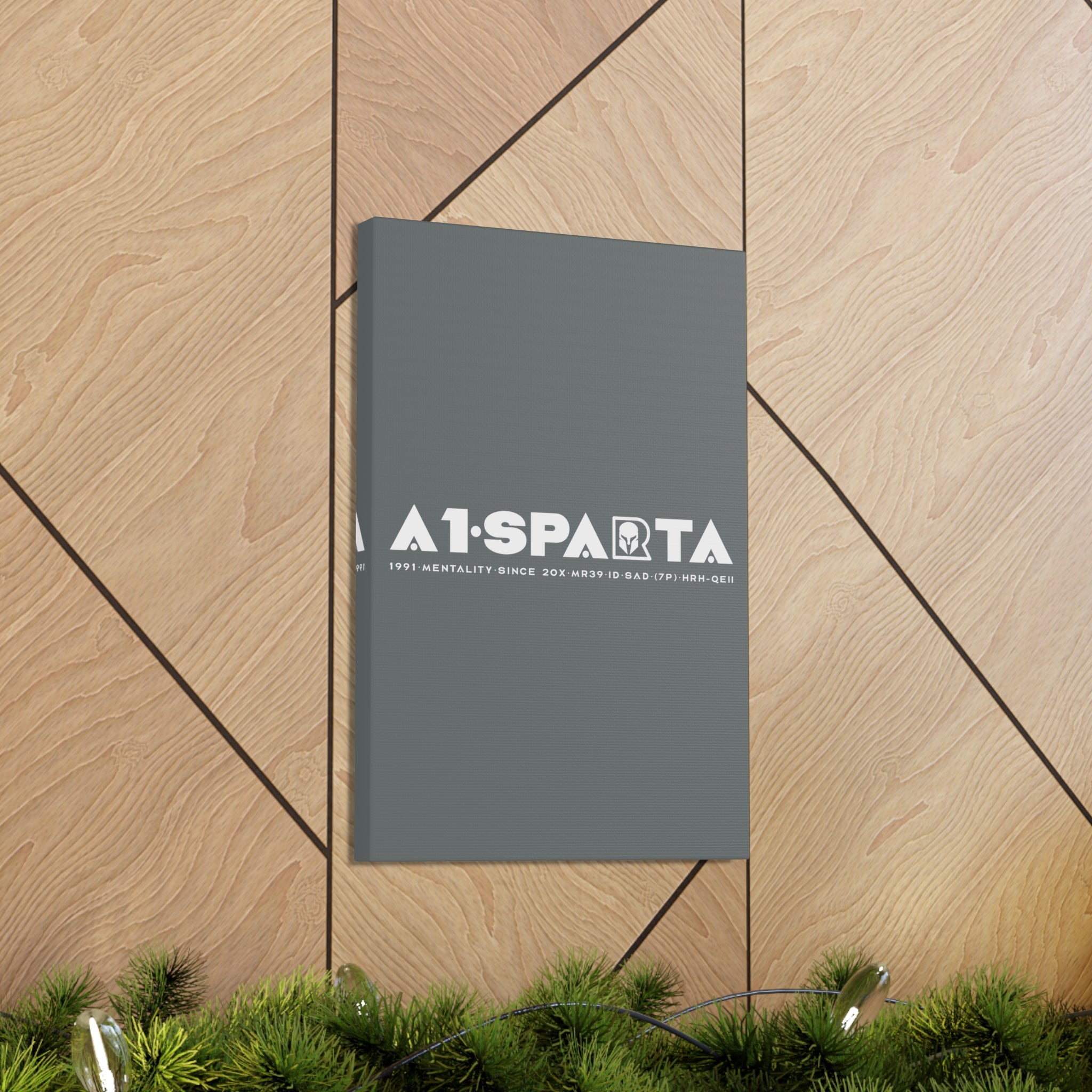 Canvas Gallery Wraps (A1•SPARTA RANGE)