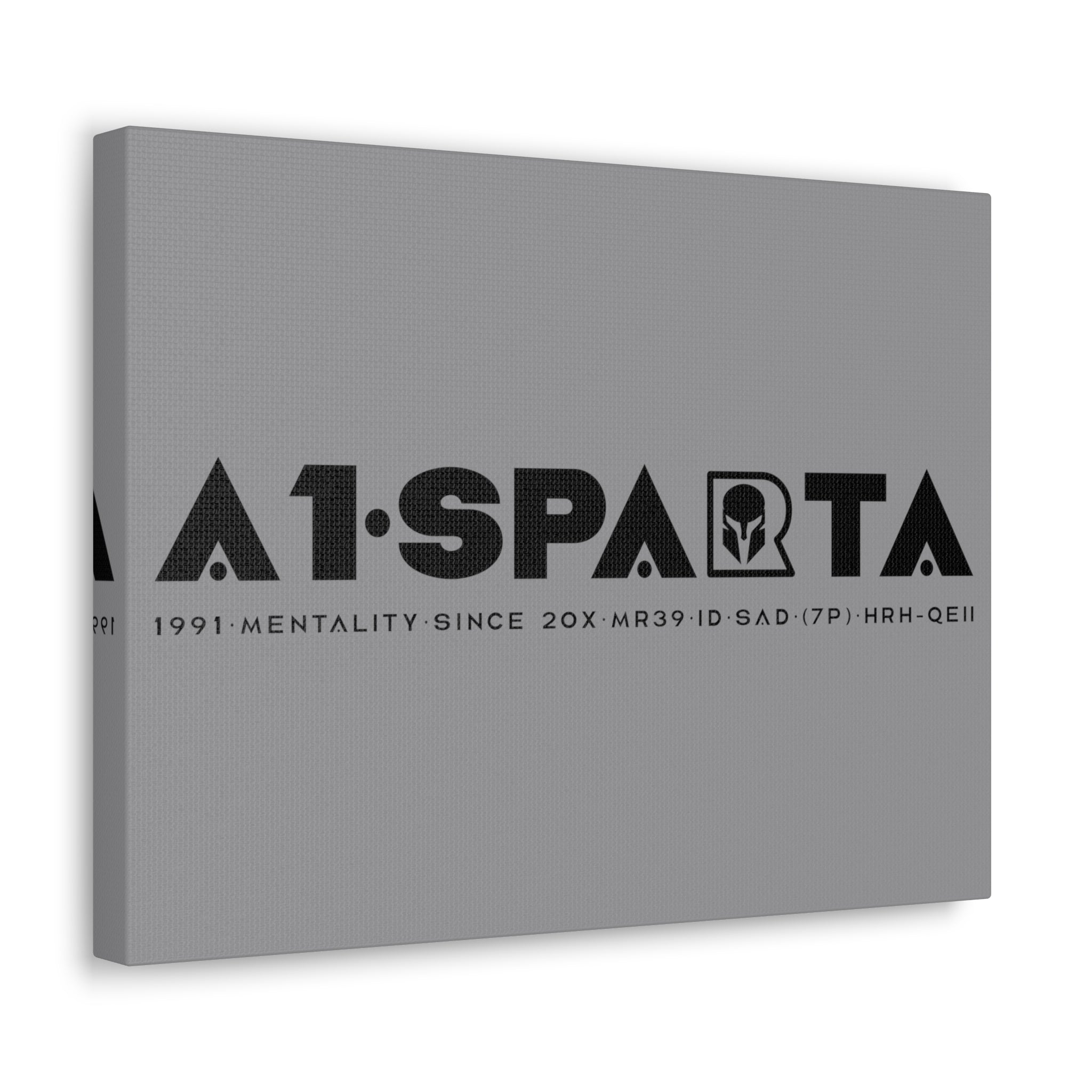 Canvas Gallery Wraps (A1•SPARTA RANGE)