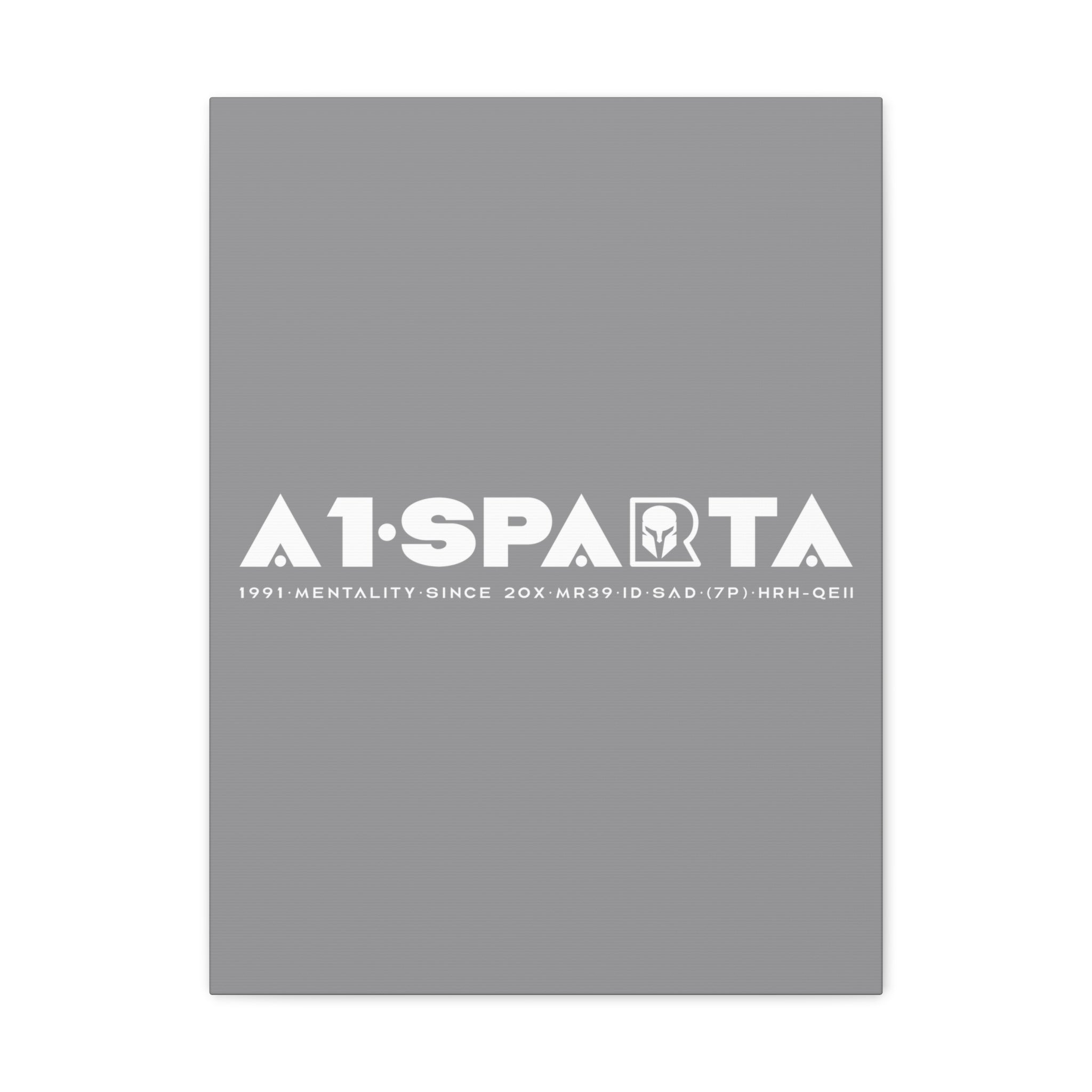 Canvas Gallery Wraps (A1•SPARTA RANGE)