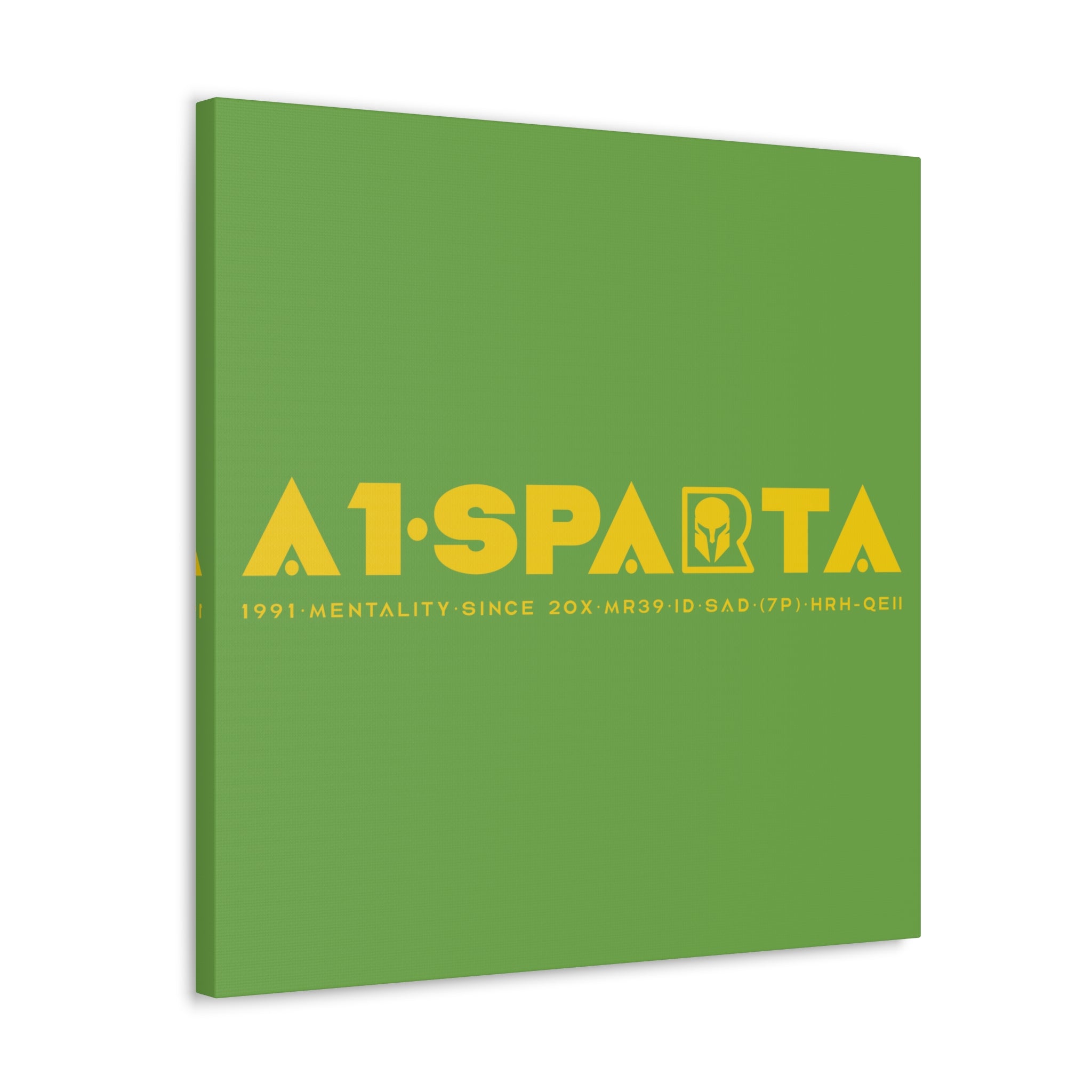 Canvas Gallery Wraps (A1•SPARTA RANGE)