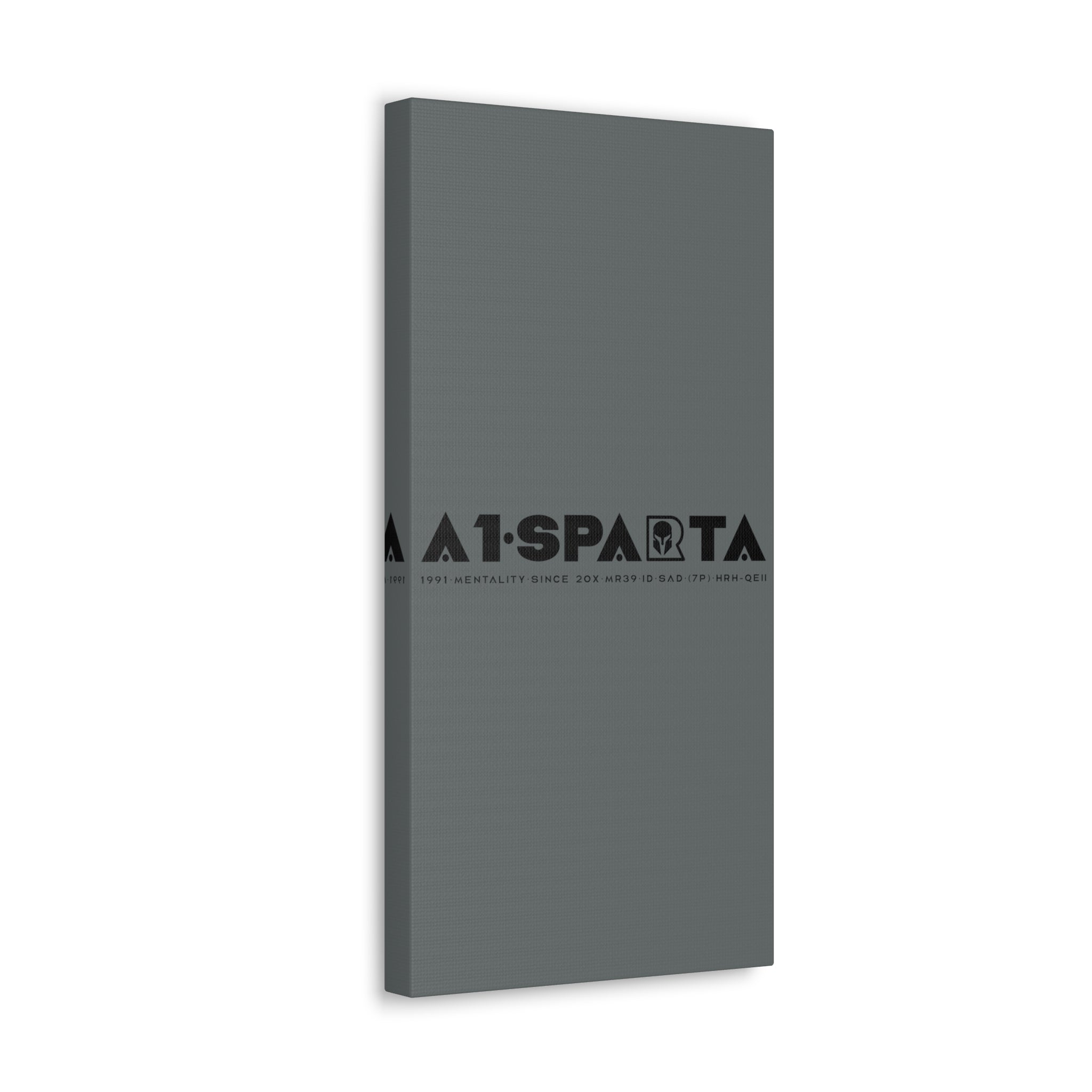 Canvas Gallery Wraps (A1•SPARTA RANGE)