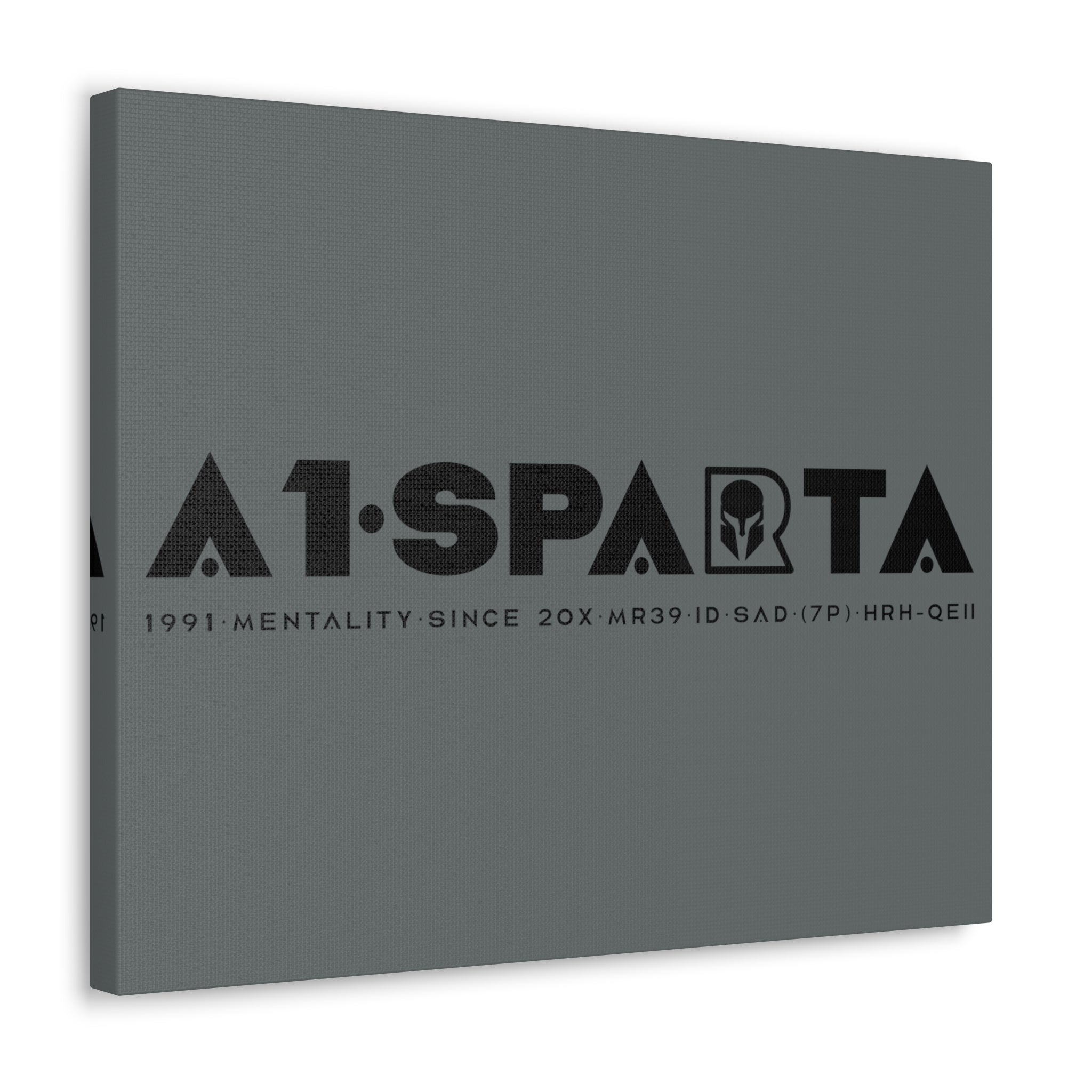 Canvas Gallery Wraps (A1•SPARTA RANGE)