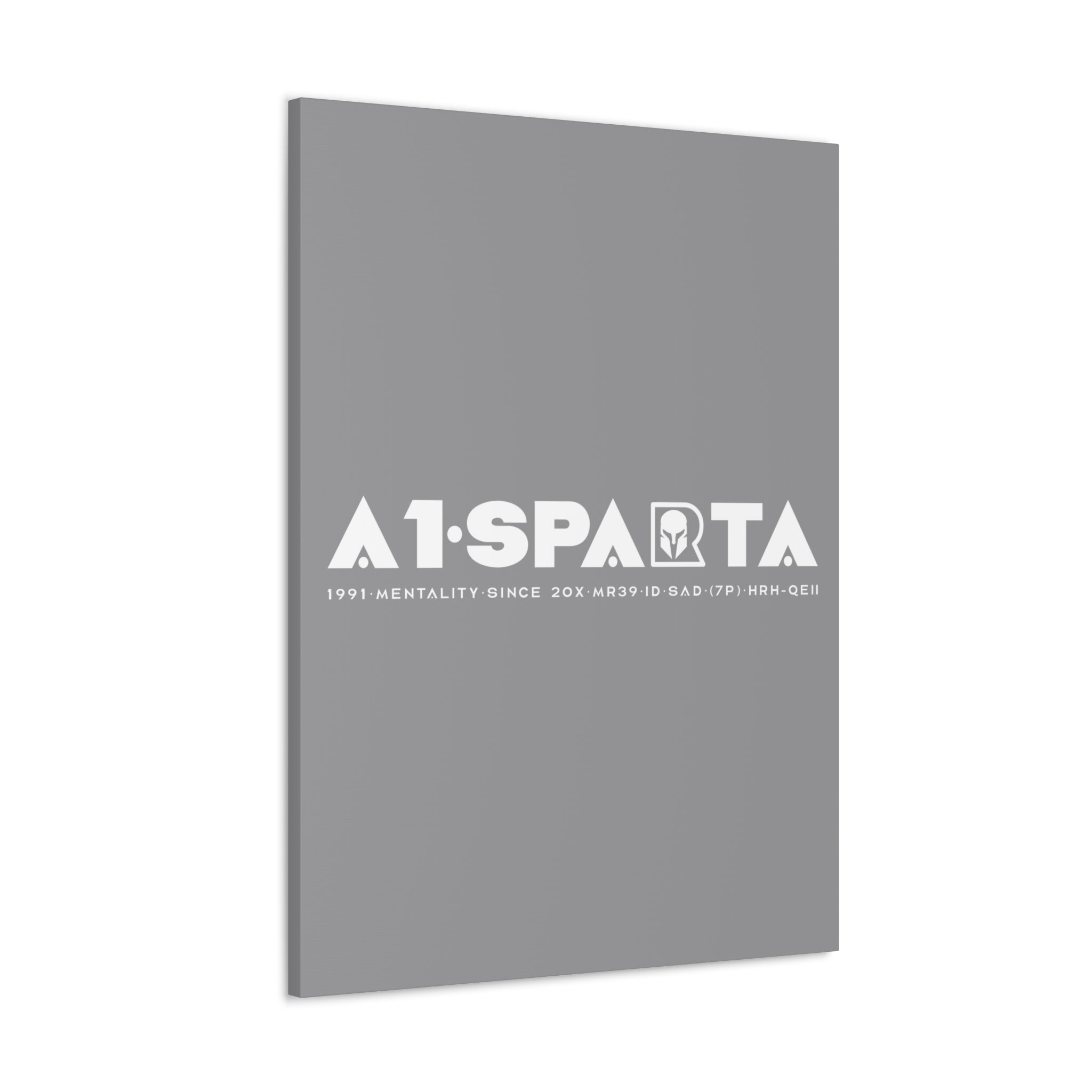 Canvas Gallery Wraps (A1•SPARTA RANGE)