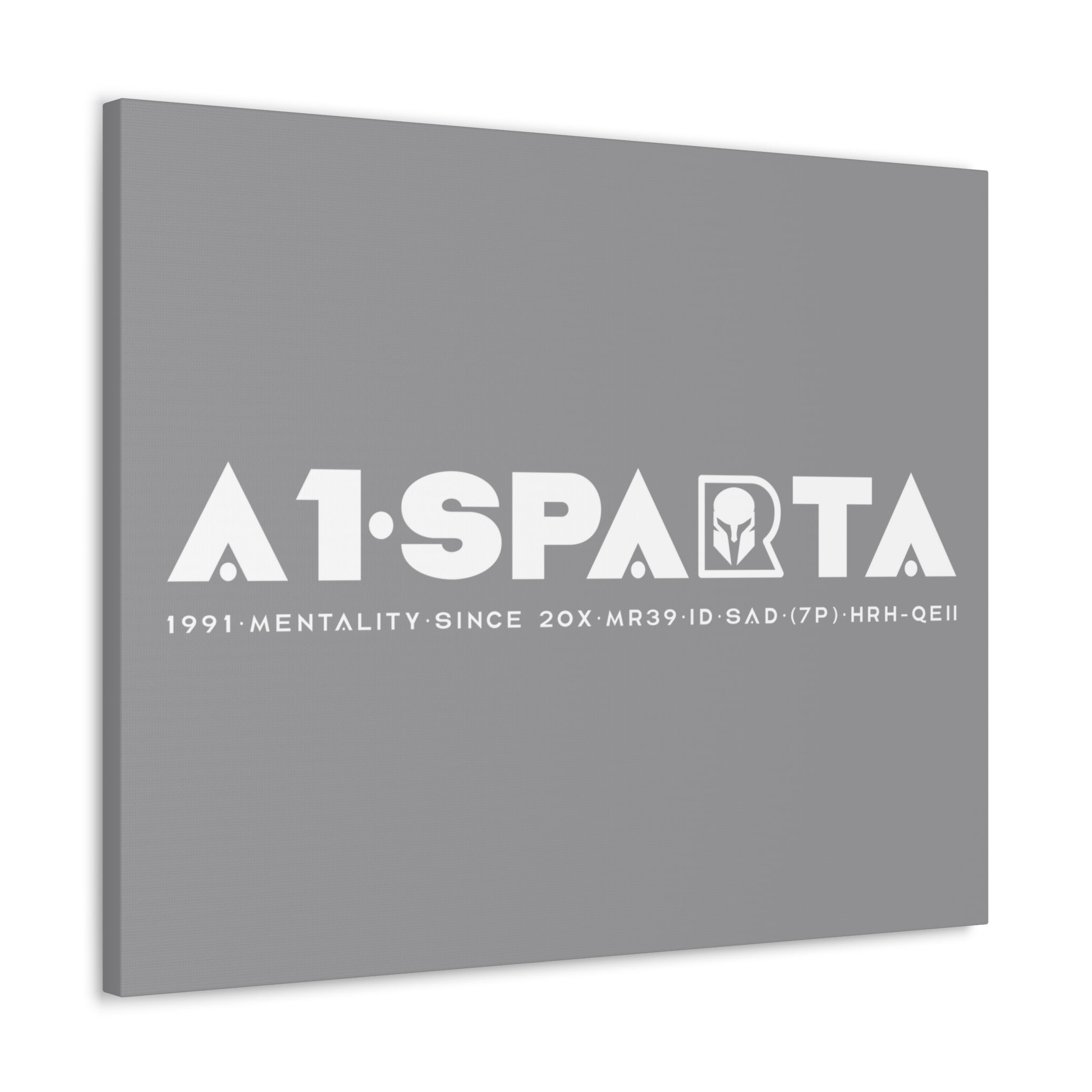 Canvas Gallery Wraps (A1•SPARTA RANGE)