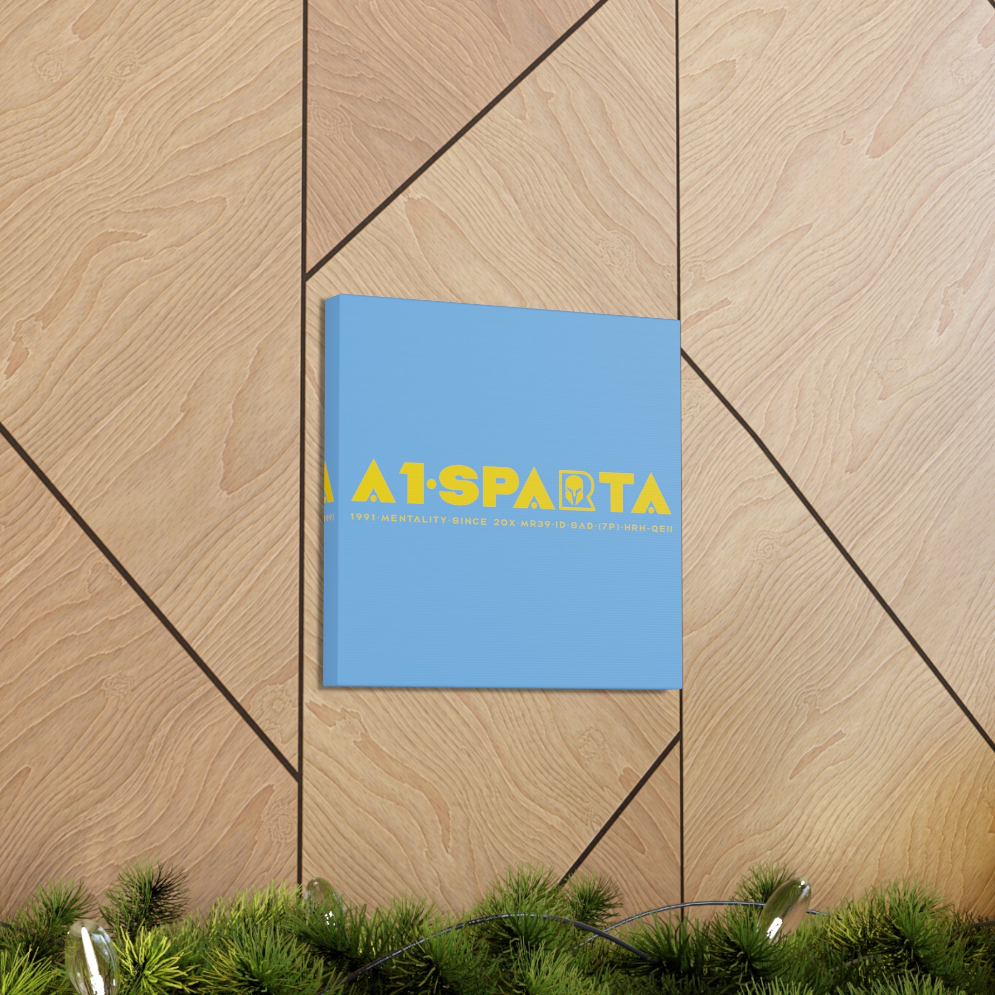 Canvas Gallery Wraps (A1•SPARTA RANGE)