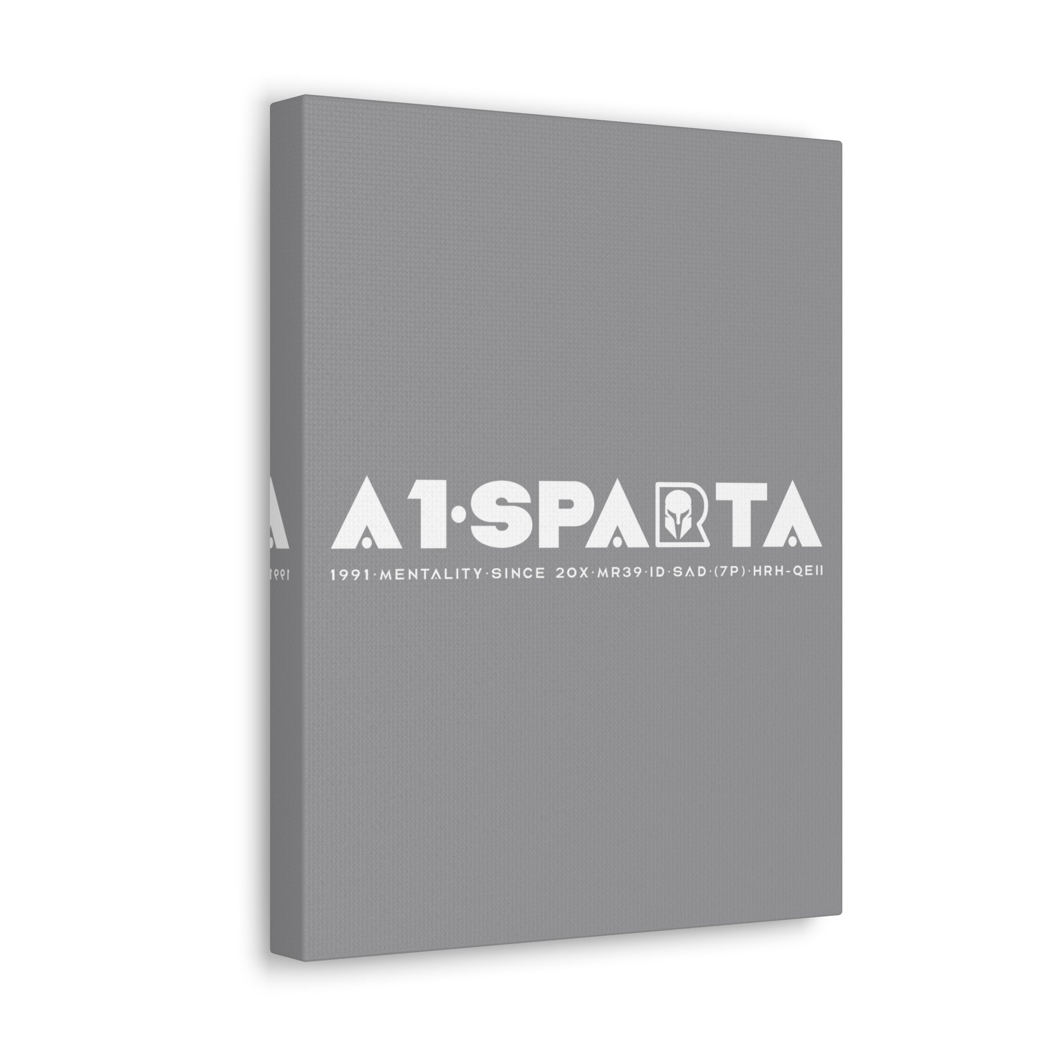 Canvas Gallery Wraps (A1•SPARTA RANGE)