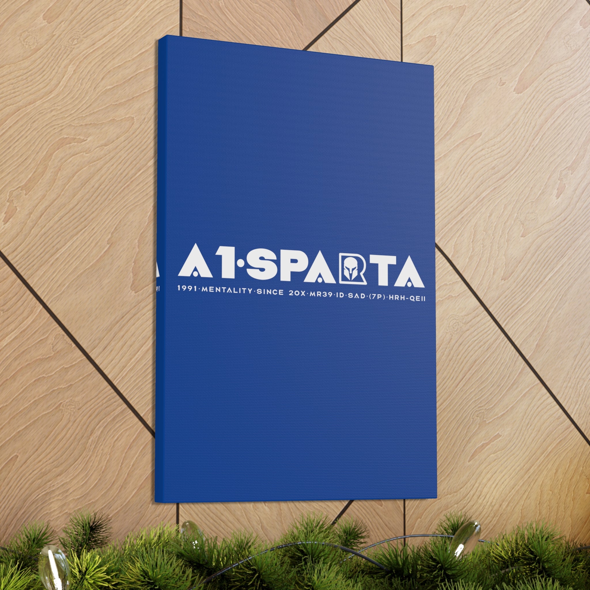 Canvas Gallery Wraps (A1•SPARTA RANGE)