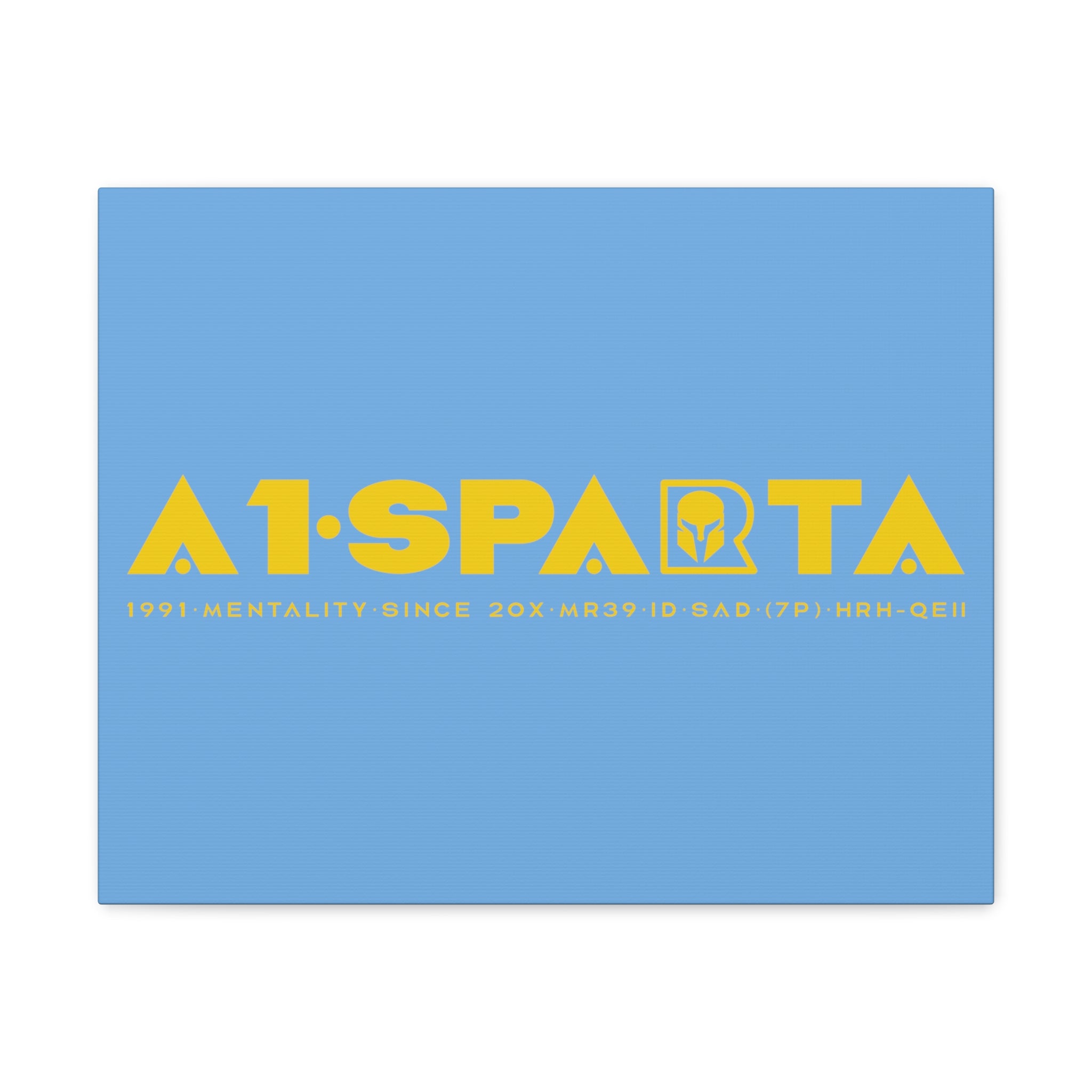 Canvas Gallery Wraps (A1•SPARTA RANGE)