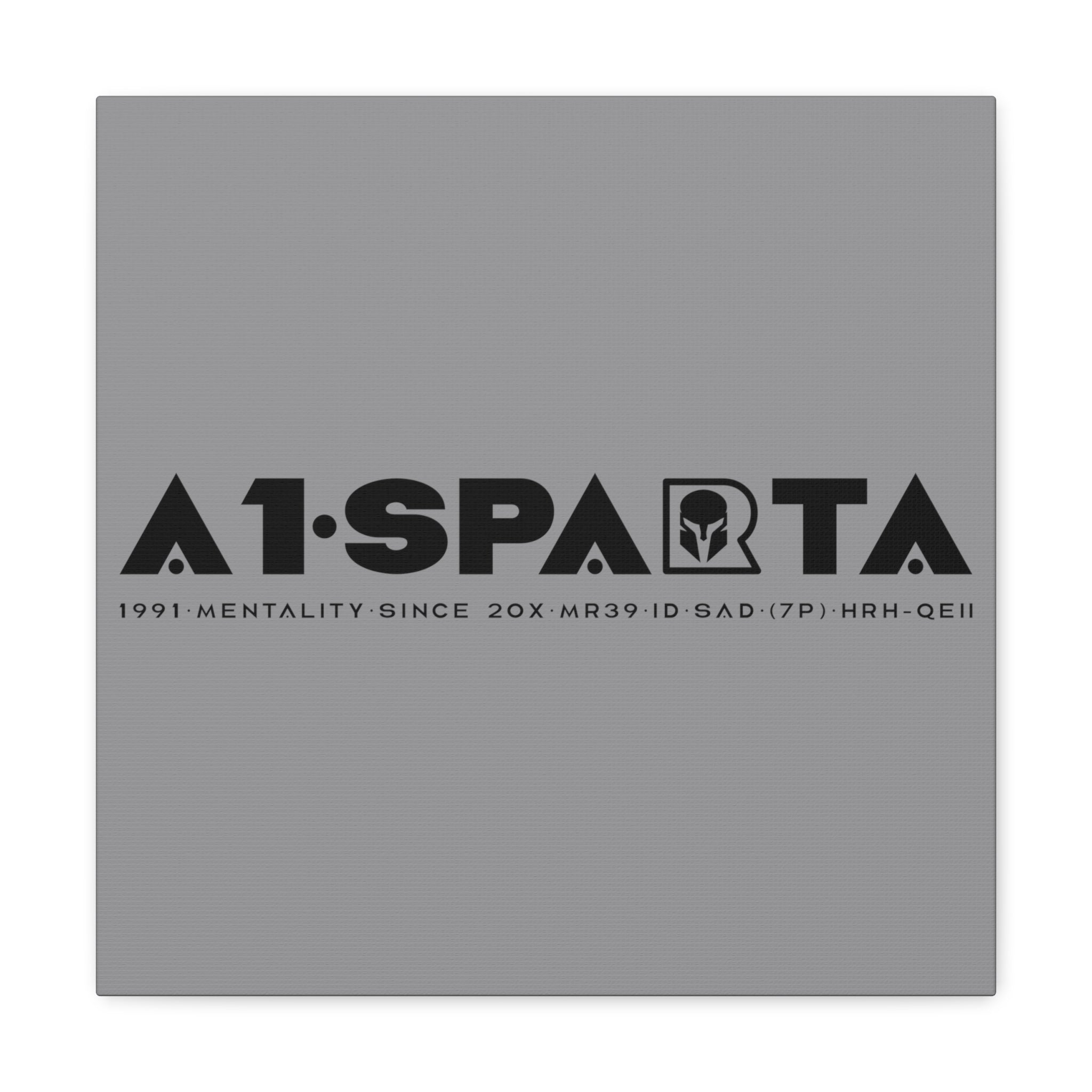 Canvas Gallery Wraps (A1•SPARTA RANGE)