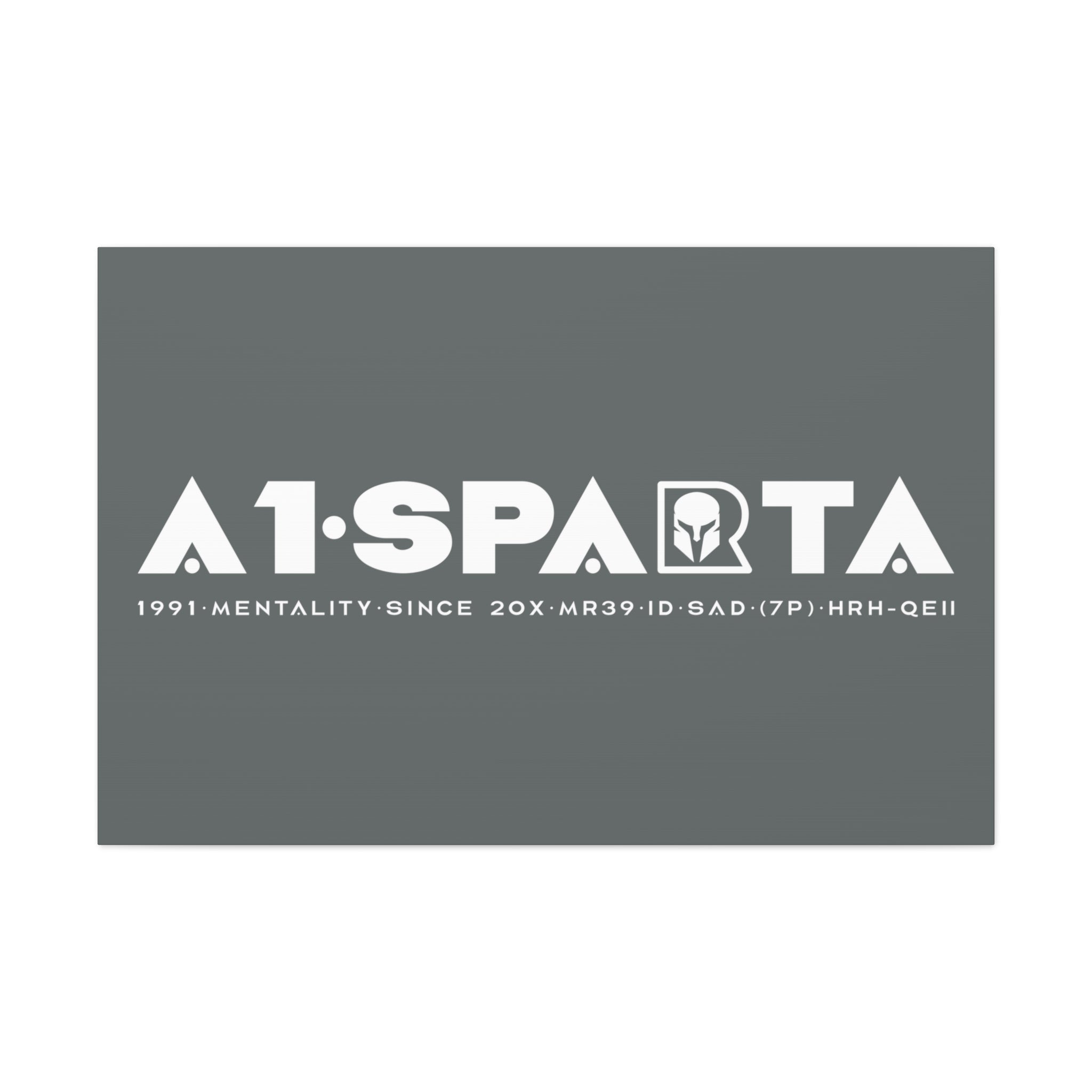 Canvas Gallery Wraps (A1•SPARTA RANGE)