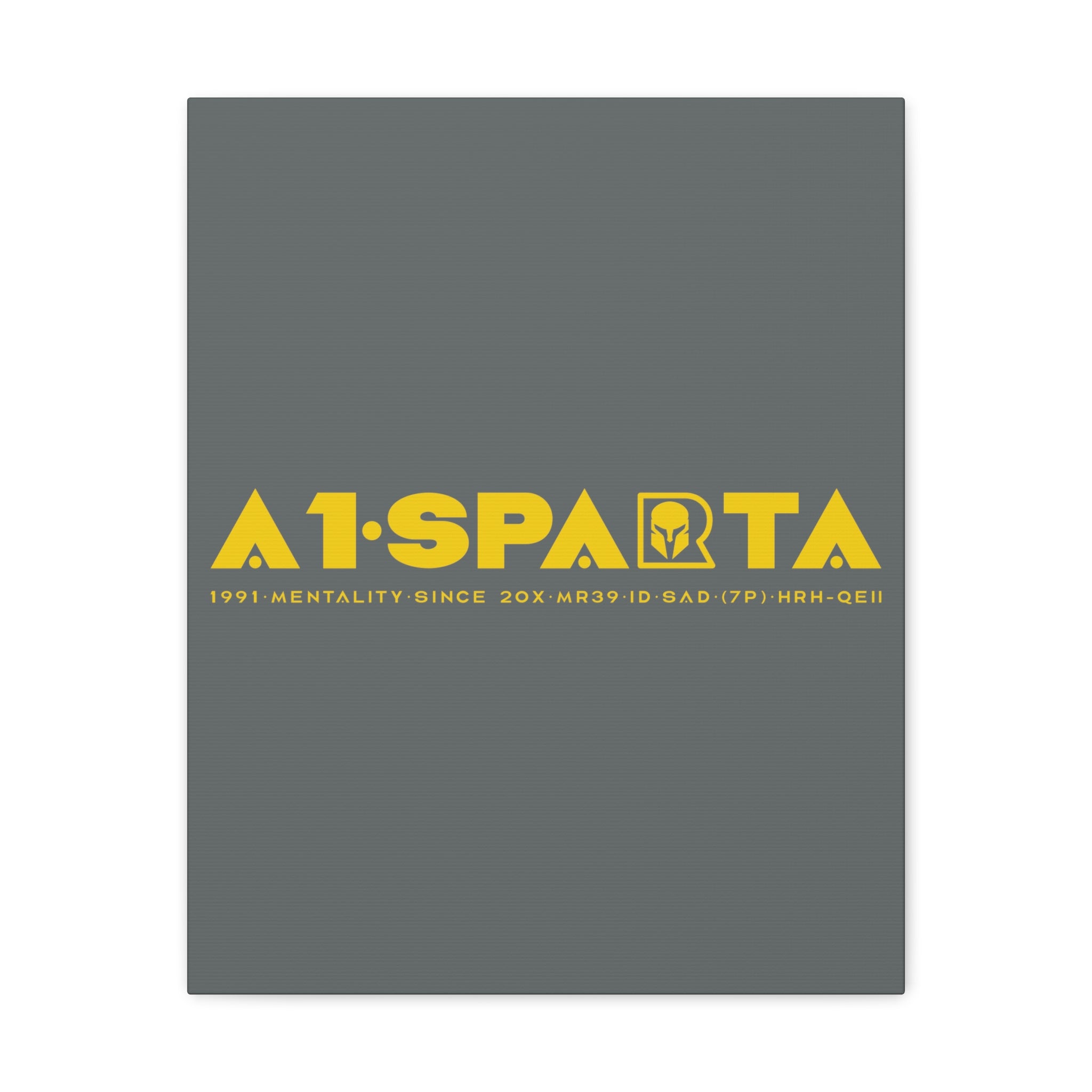 Canvas Gallery Wraps (A1•SPARTA RANGE)