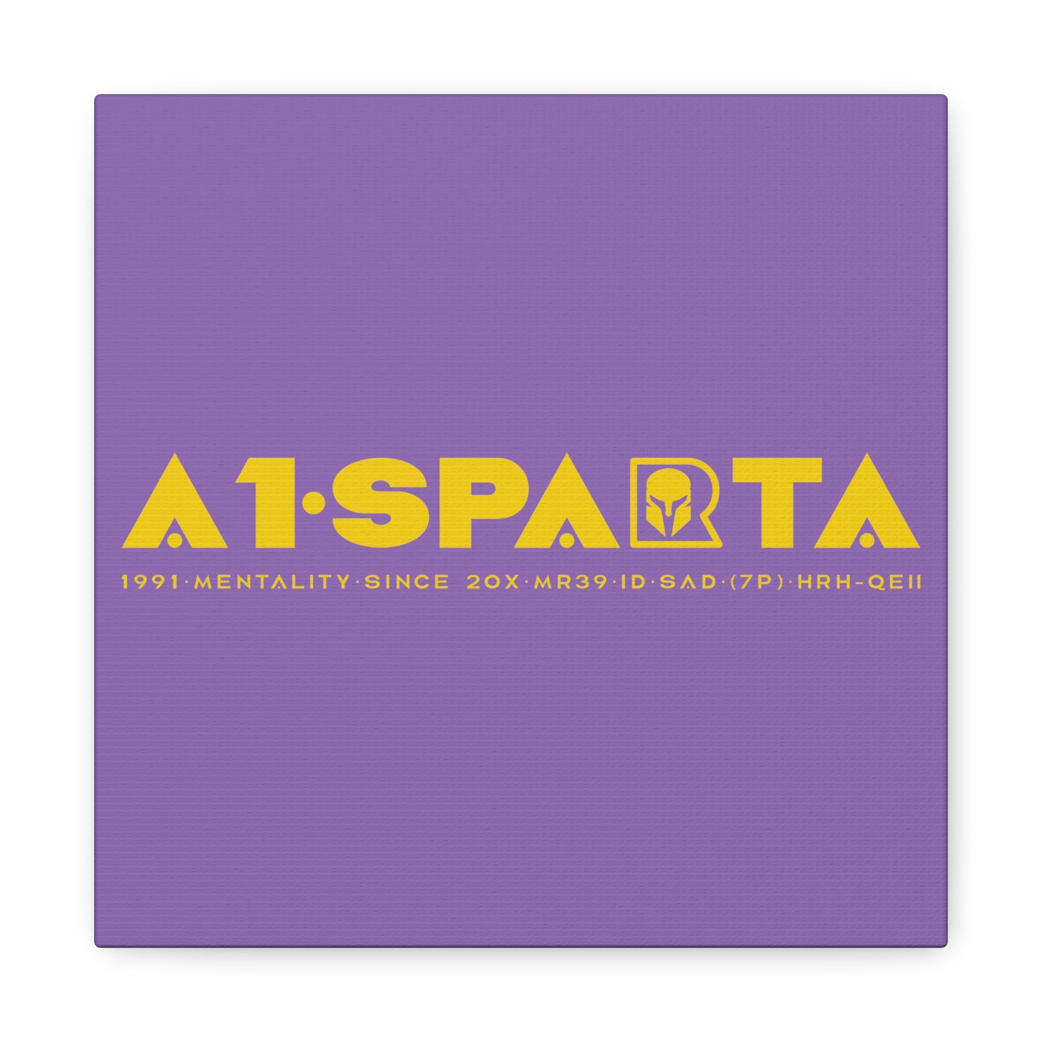 Canvas Gallery Wraps (A1•SPARTA RANGE)