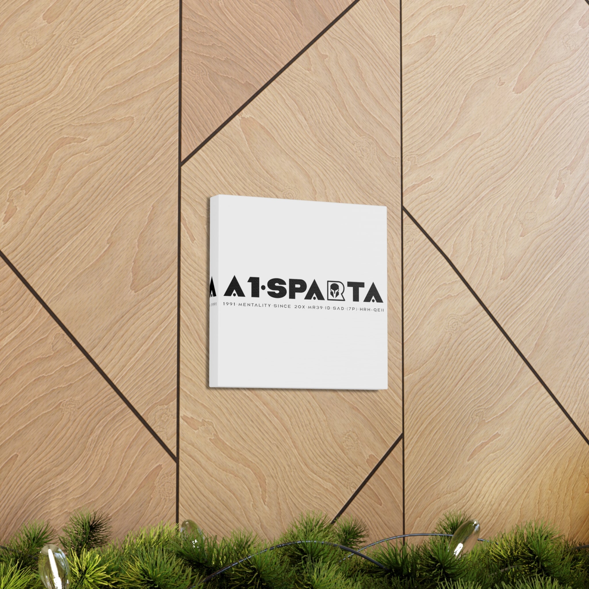 Canvas Gallery Wraps (A1•SPARTA RANGE)