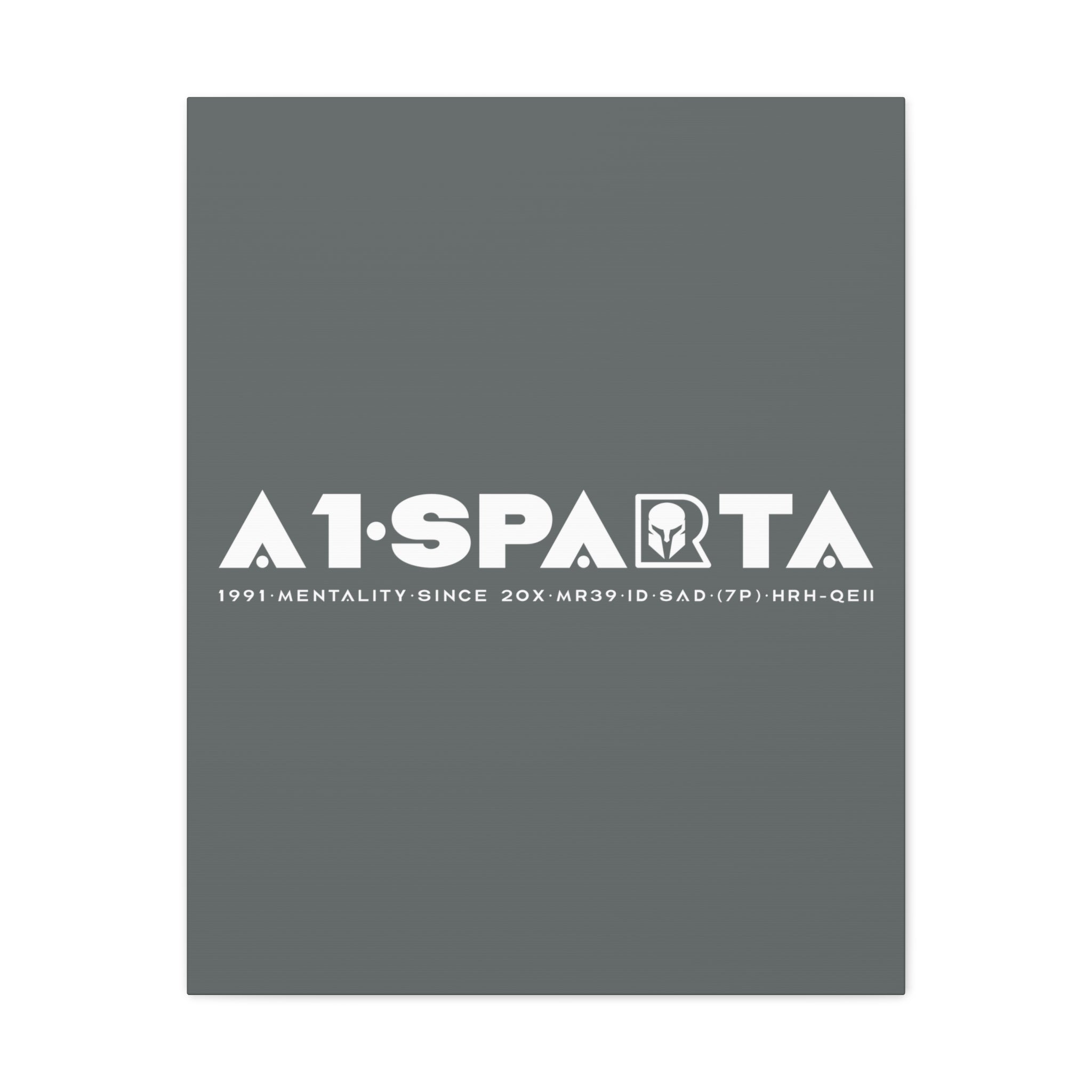 Canvas Gallery Wraps (A1•SPARTA RANGE)