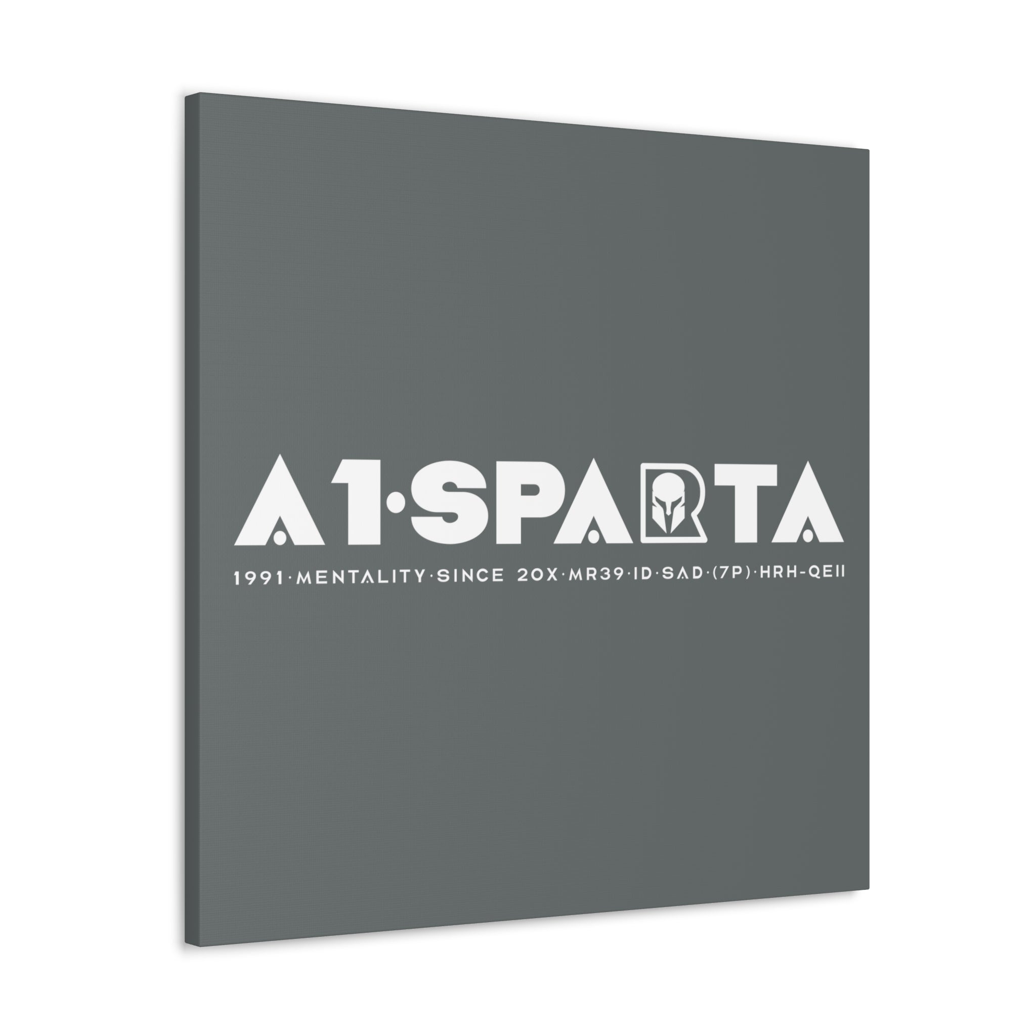 Canvas Gallery Wraps (A1•SPARTA RANGE)