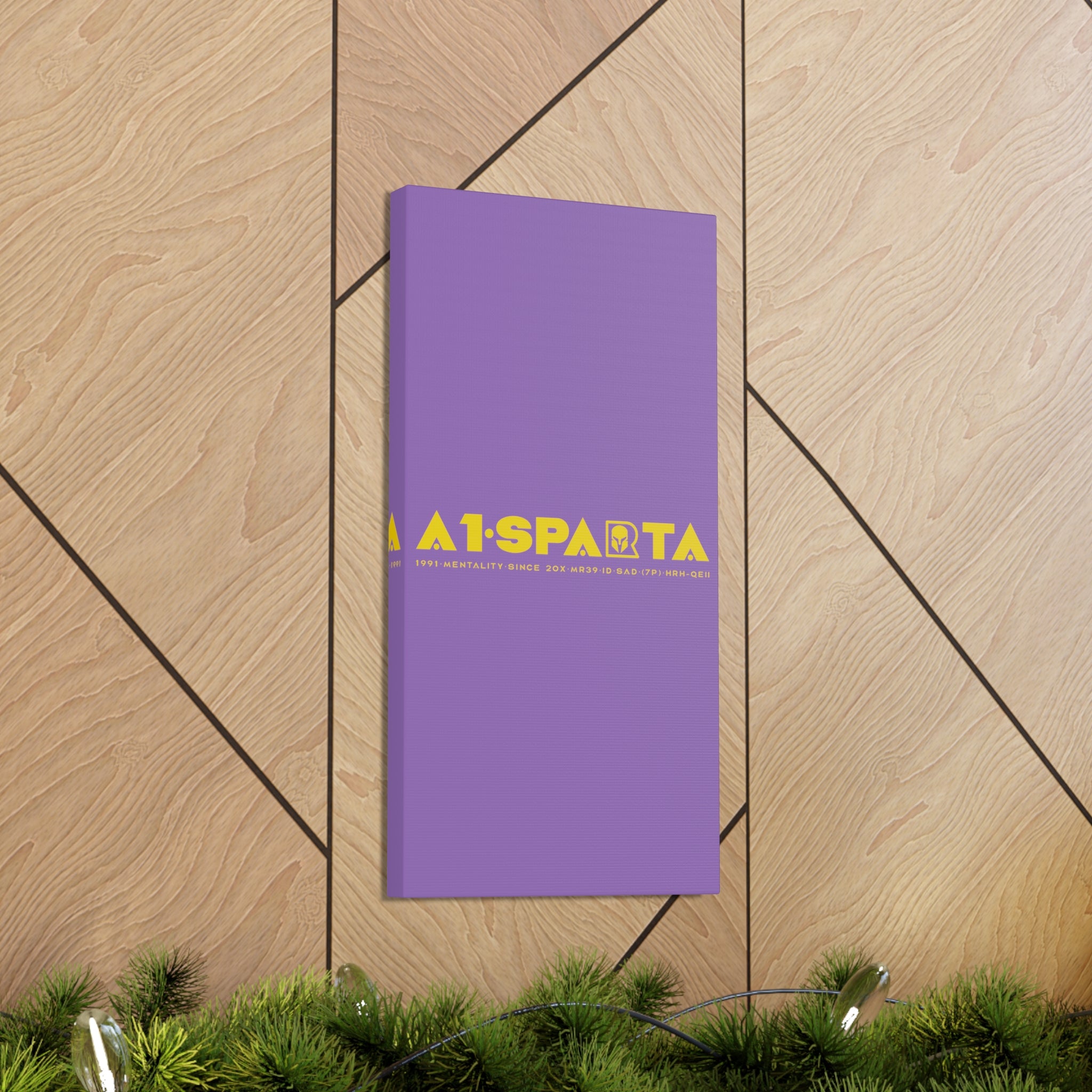 Canvas Gallery Wraps (A1•SPARTA RANGE)