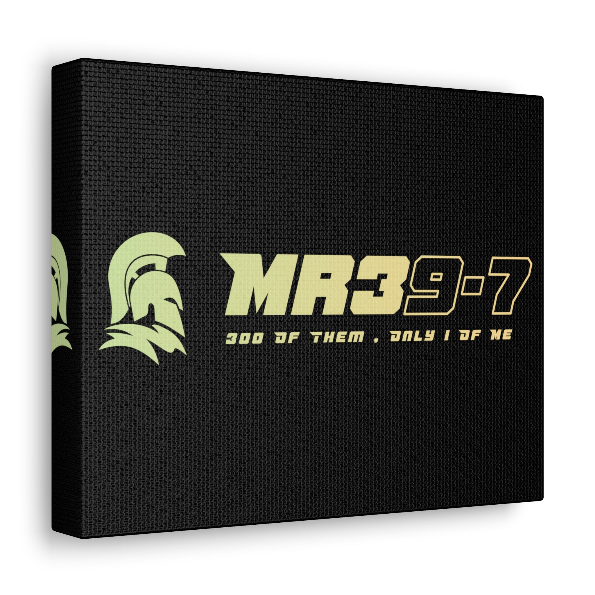 Canvas Gallery Wraps (A1•SPARTA RANGE)