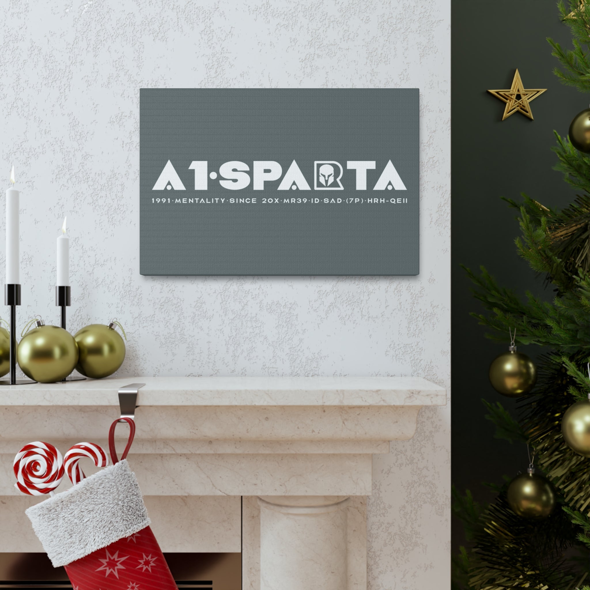 Canvas Gallery Wraps (A1•SPARTA RANGE)