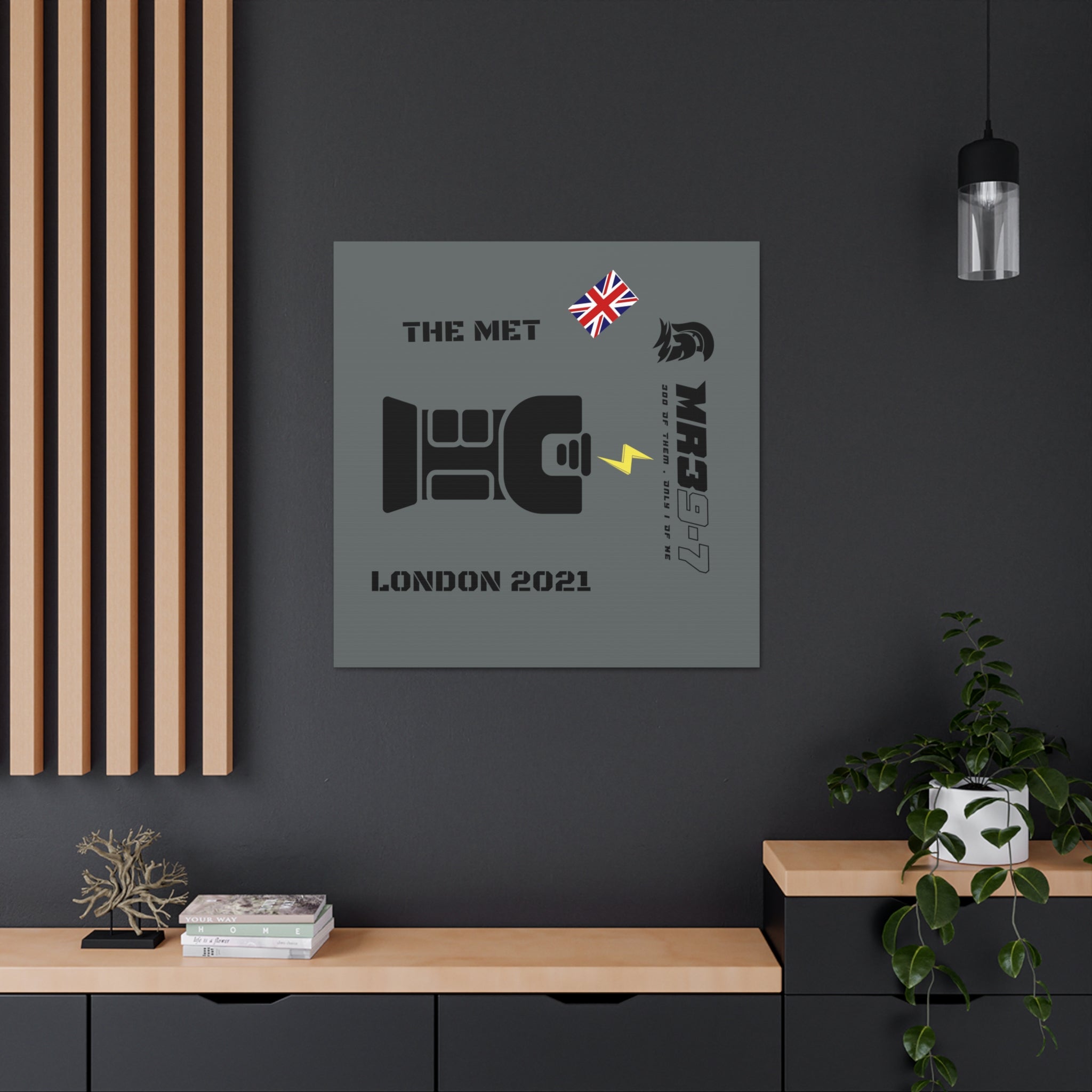 Canvas Gallery Wraps MR 39 Tasered by The MET 2021