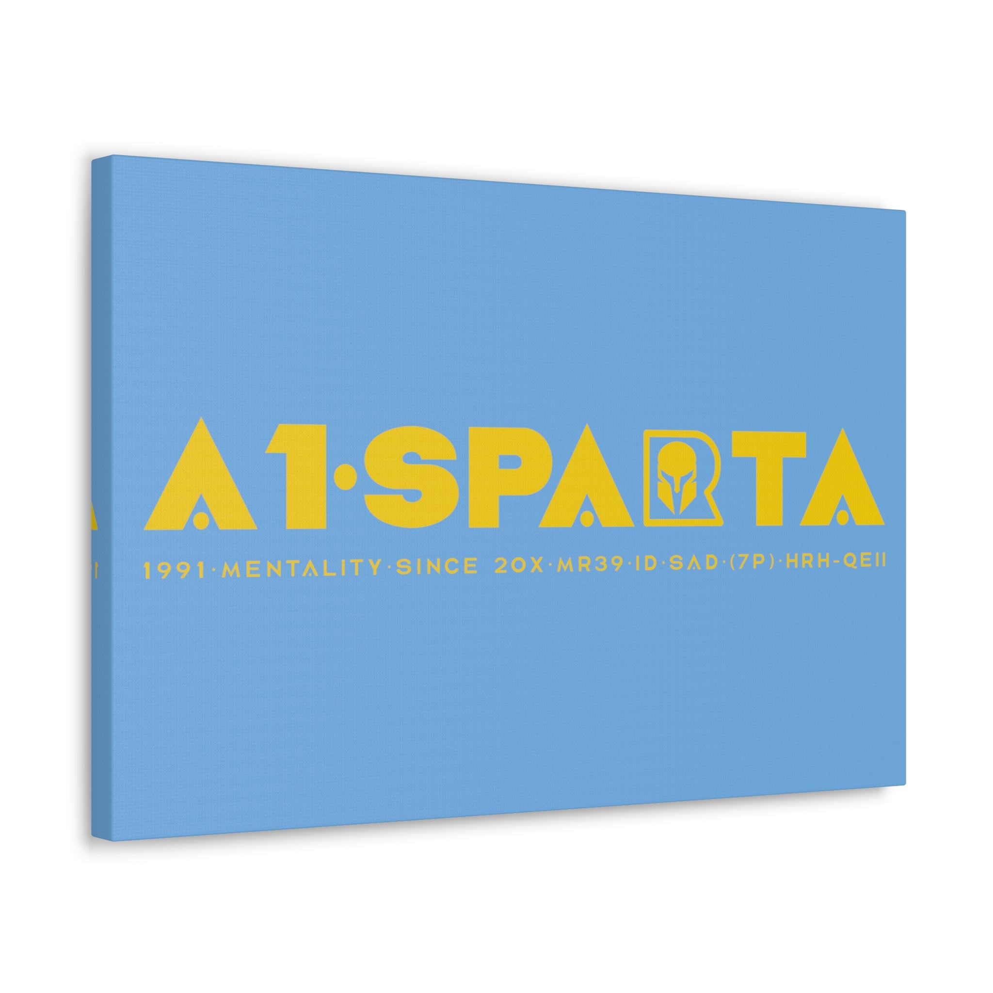 Canvas Gallery Wraps (A1•SPARTA RANGE)