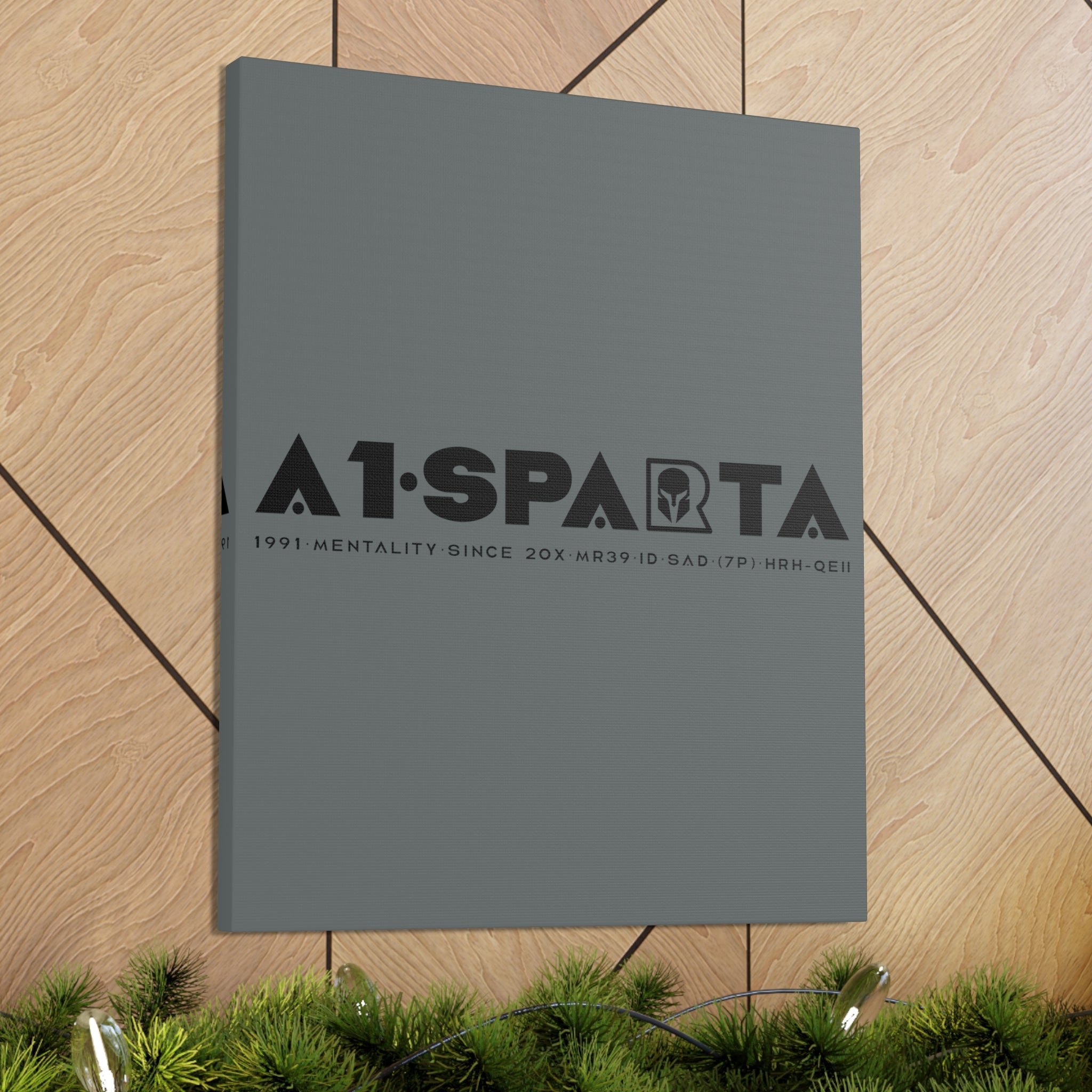 Canvas Gallery Wraps (A1•SPARTA RANGE)
